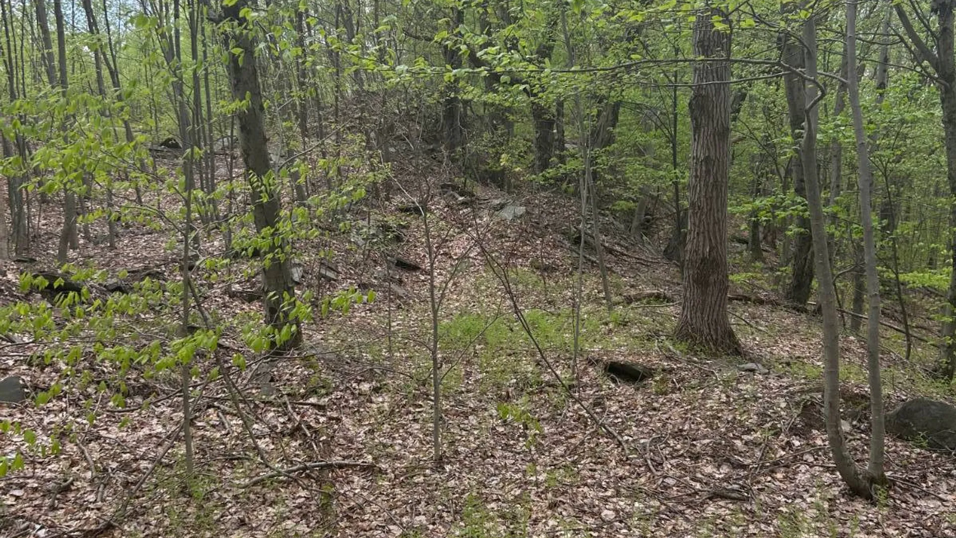 Property at 0 Appaloosa Trl, Walton, NY 13856 5