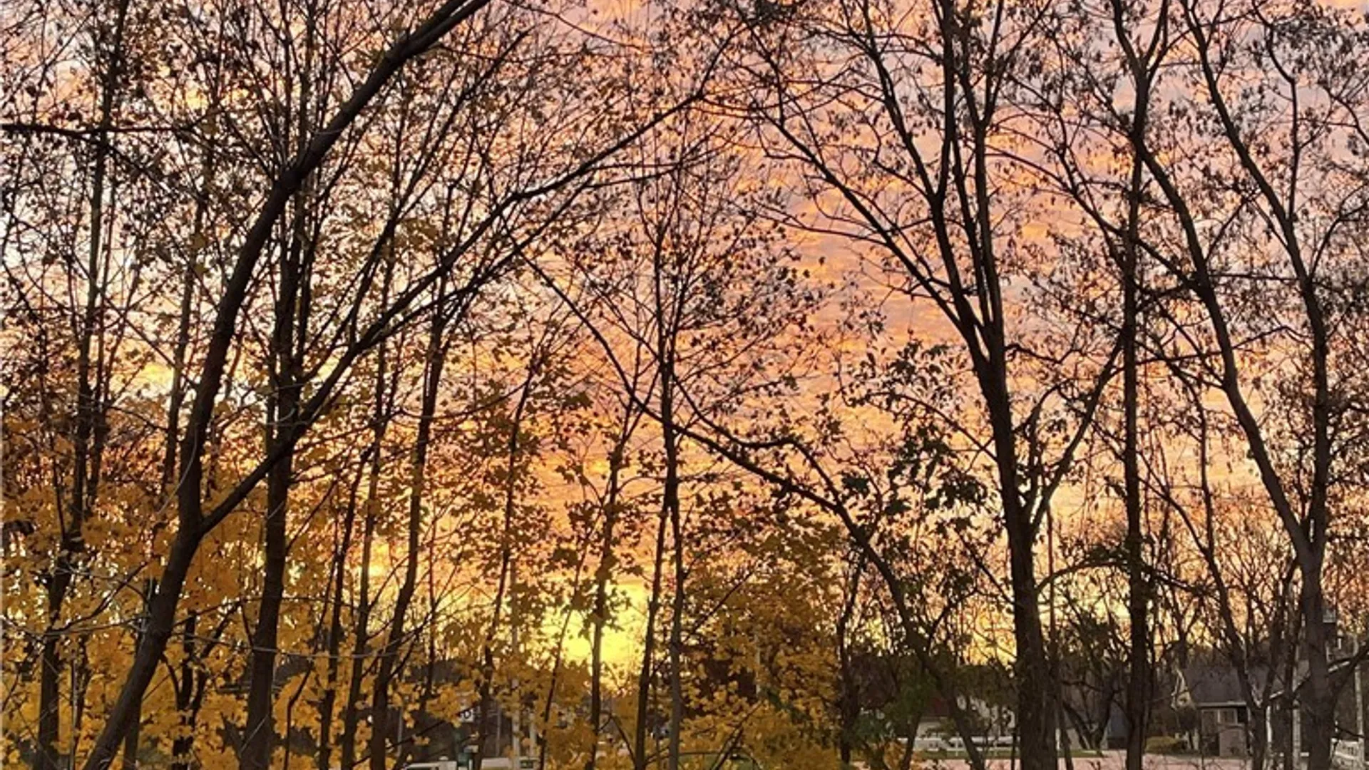 Property at 14115 Ridge Road, Gaines, NY 14411 47