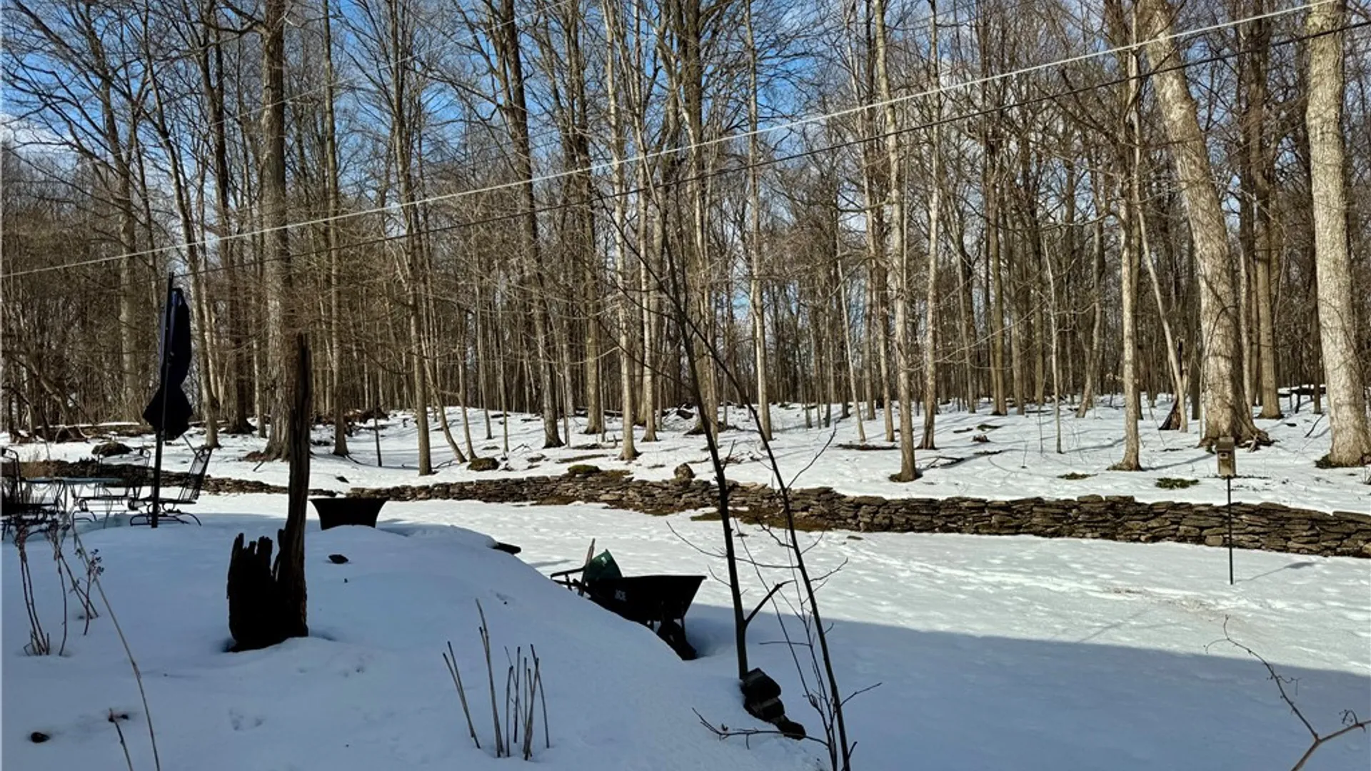 Property at 15 Edgewood Parkway, Manlius, NY 13066 43