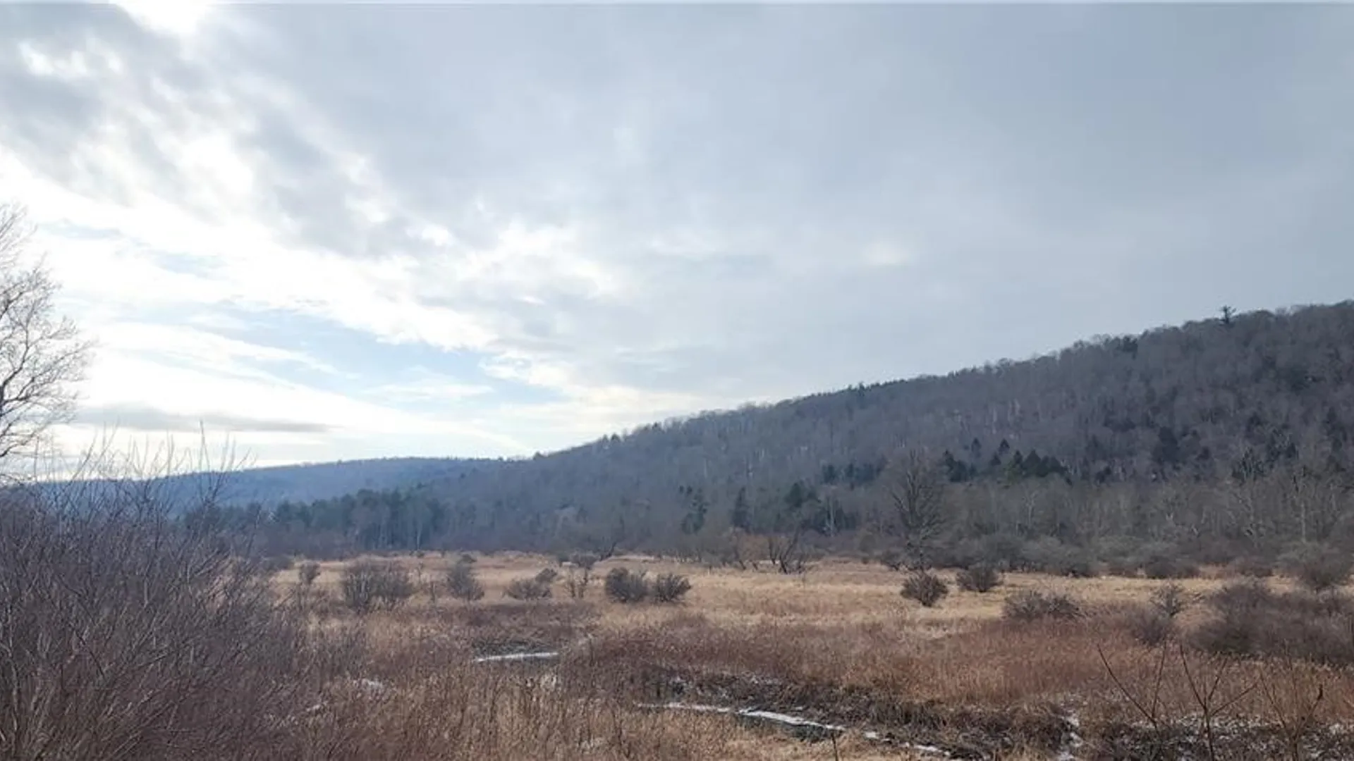 Property at 00 Halsey Valley Rd, Spencer, NY 14883 10