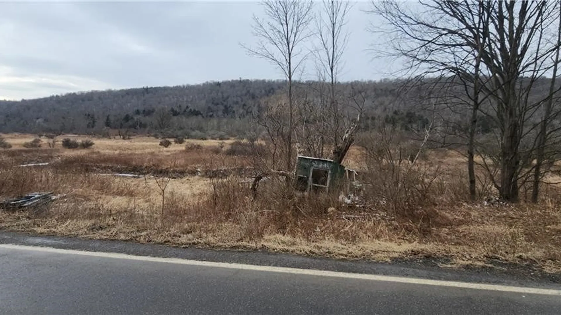 Property at 00 Halsey Valley Rd, Spencer, NY 14883 16