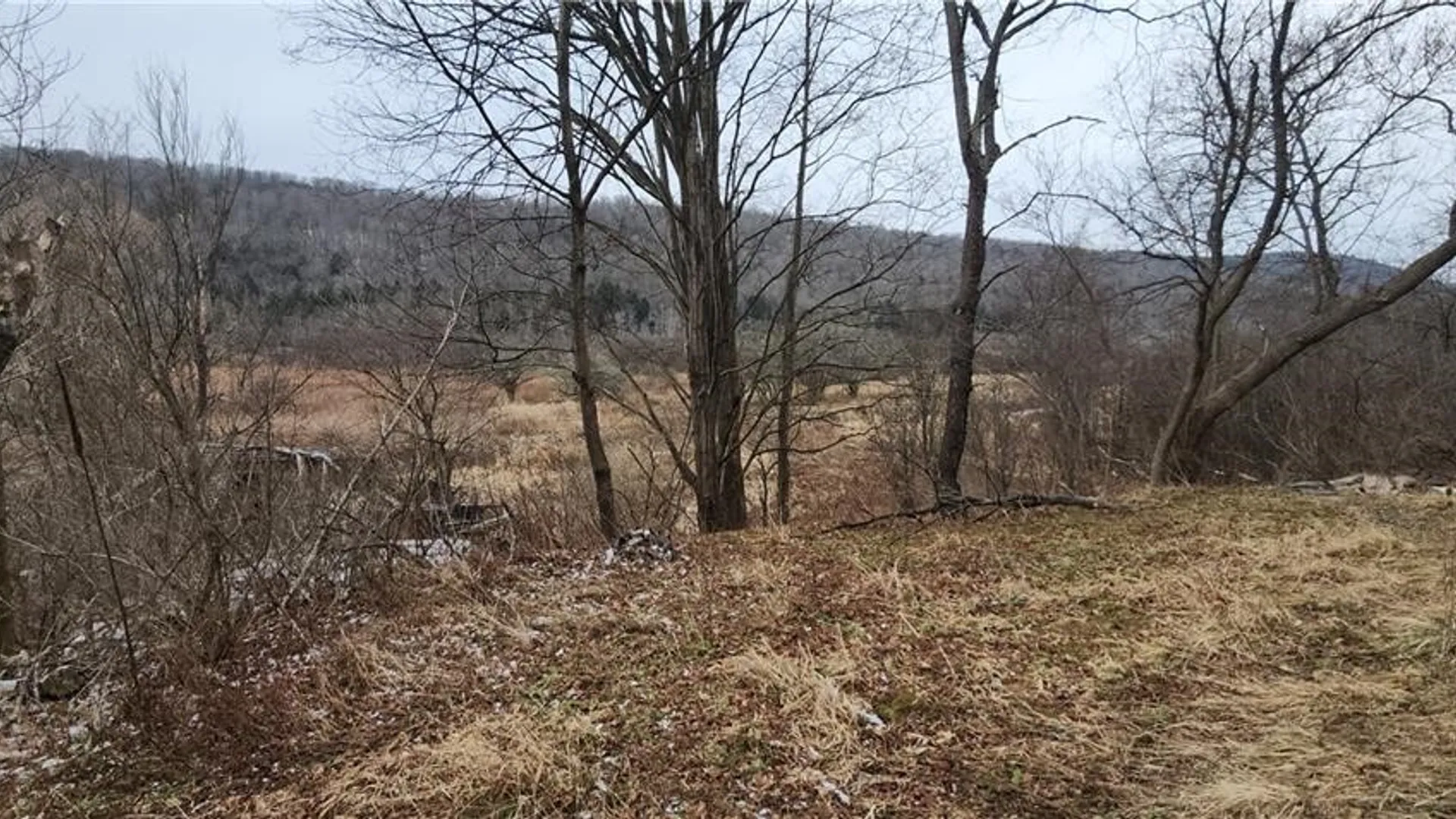 Property at 00 Halsey Valley Rd, Spencer, NY 14883 17