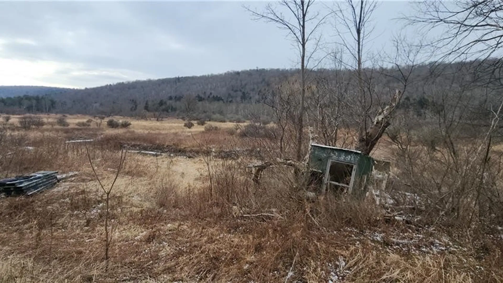 Property at 00 Halsey Valley Rd, Spencer, NY 14883 18