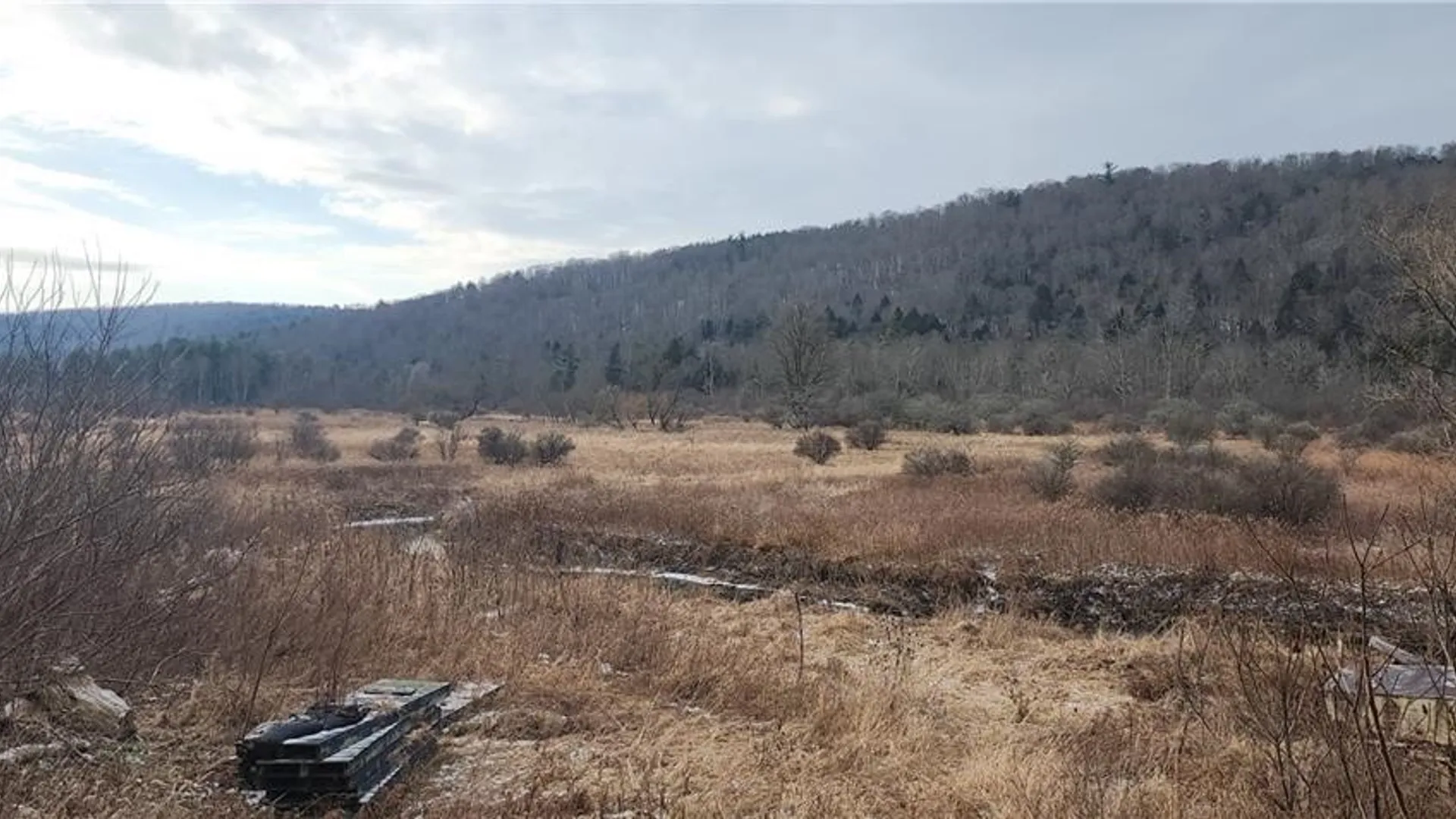 Property at 00 Halsey Valley Rd, Spencer, NY 14883 2