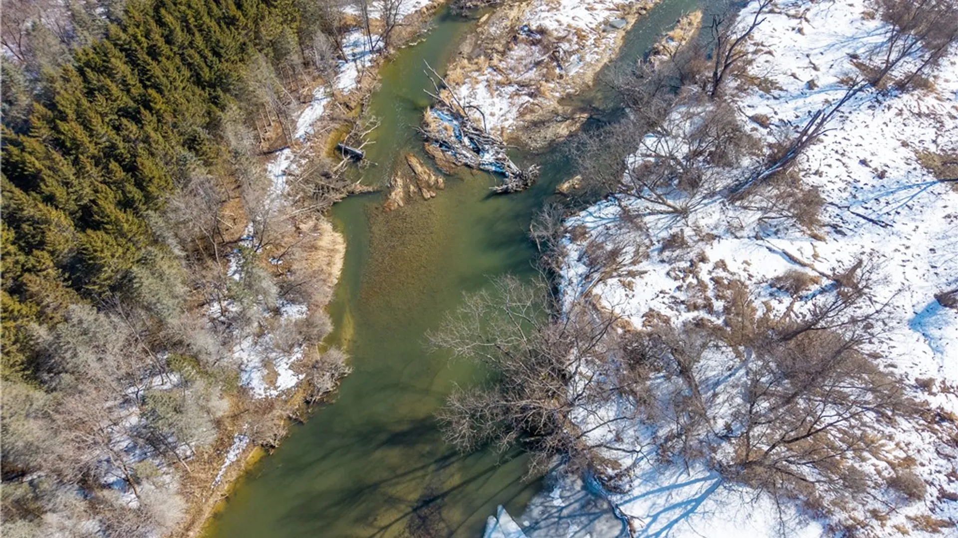 Property at 9080 75a, Avoca, NY 14809 11