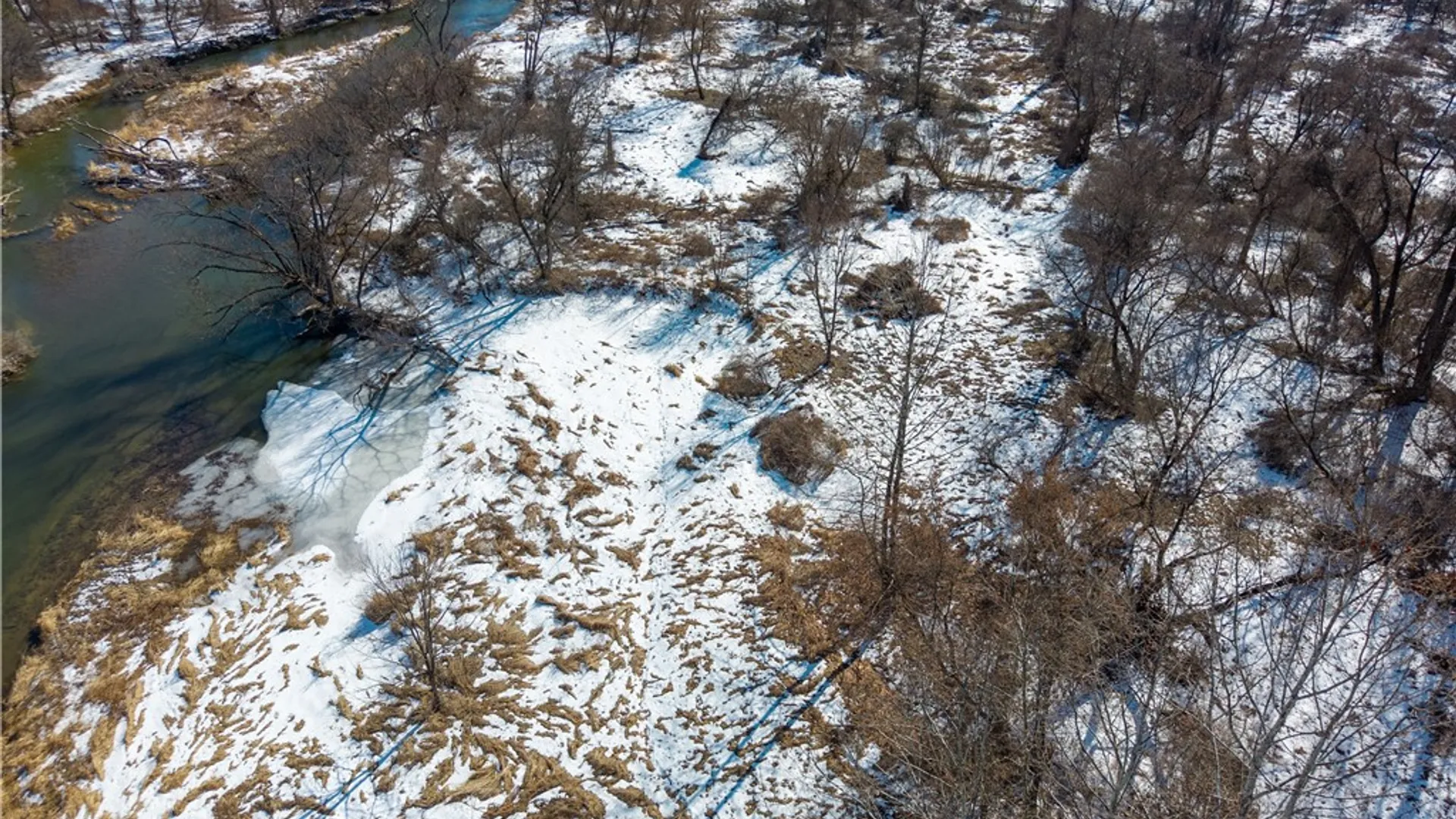 Property at 9080 75a, Avoca, NY 14809 15