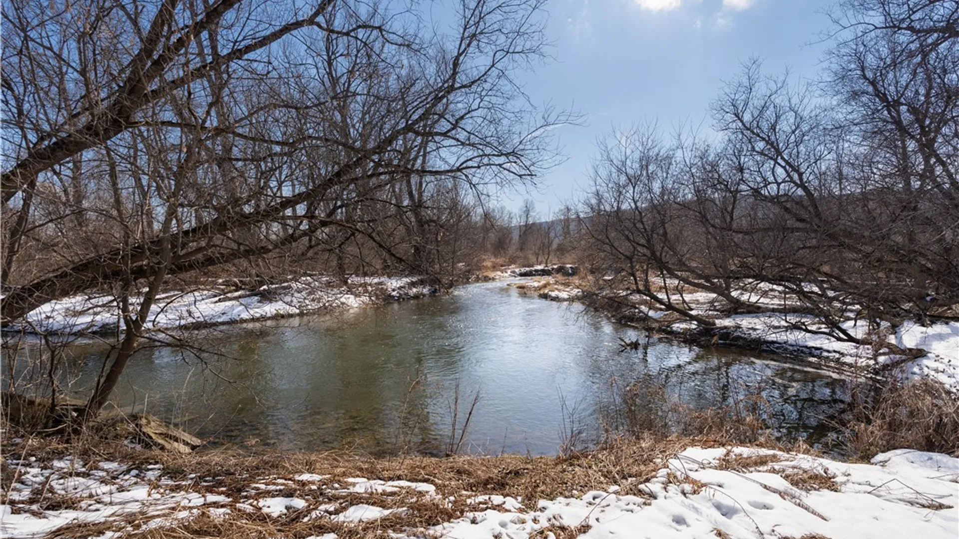 Property at 9080 75a, Avoca, NY 14809 2