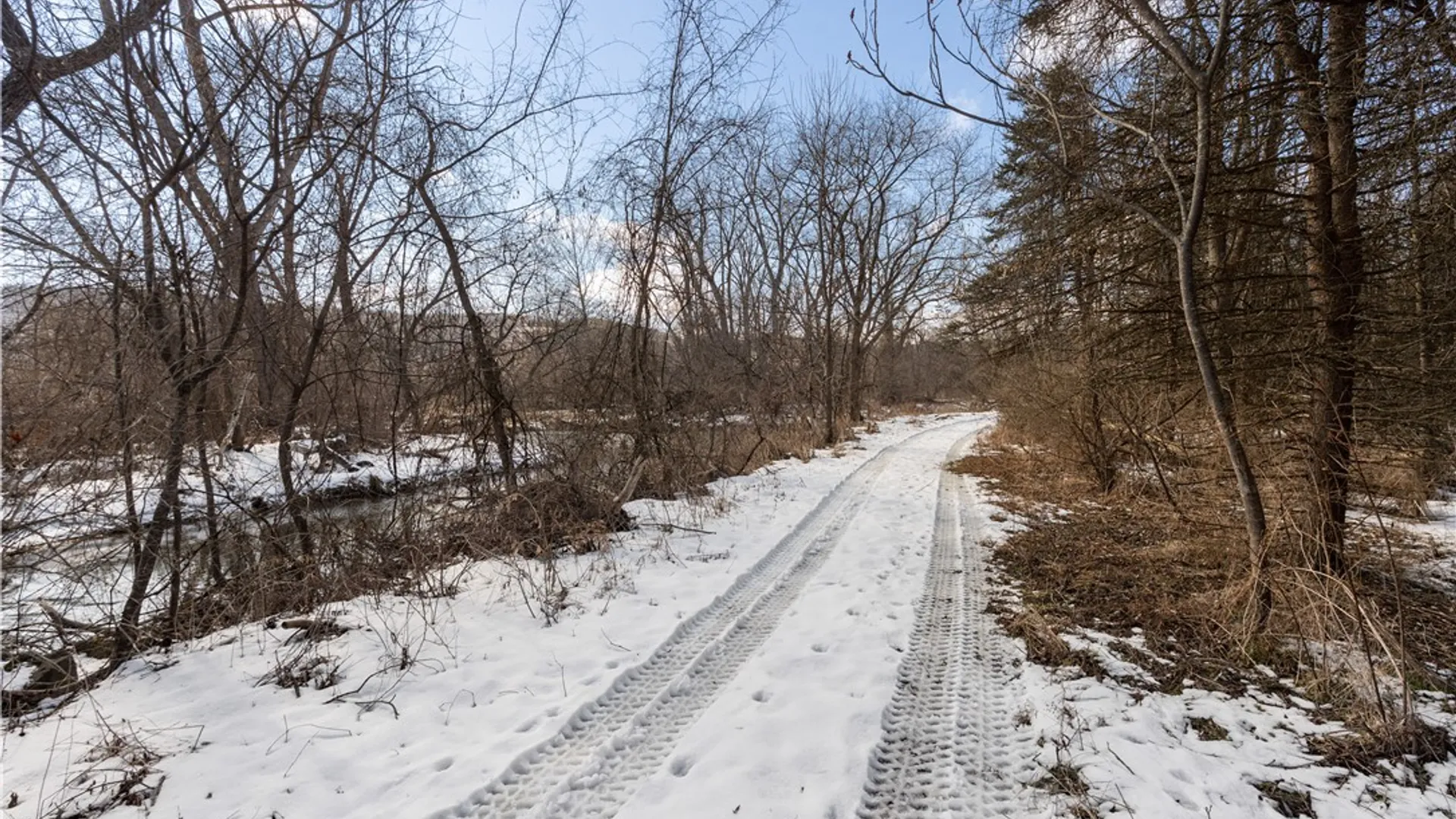 Property at 9080 75a, Avoca, NY 14809 3