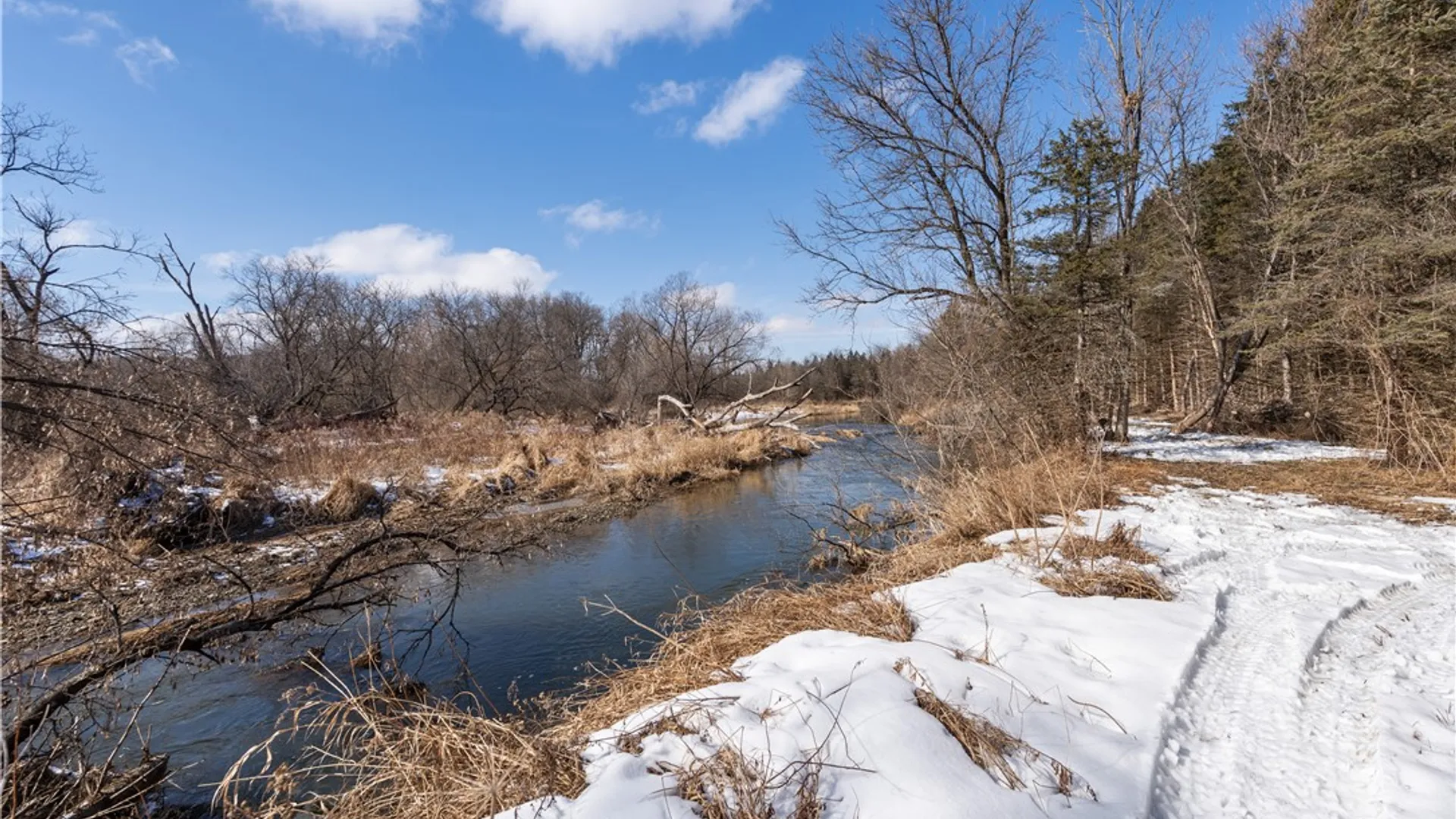 Property at 9080 75a, Avoca, NY 14809 4