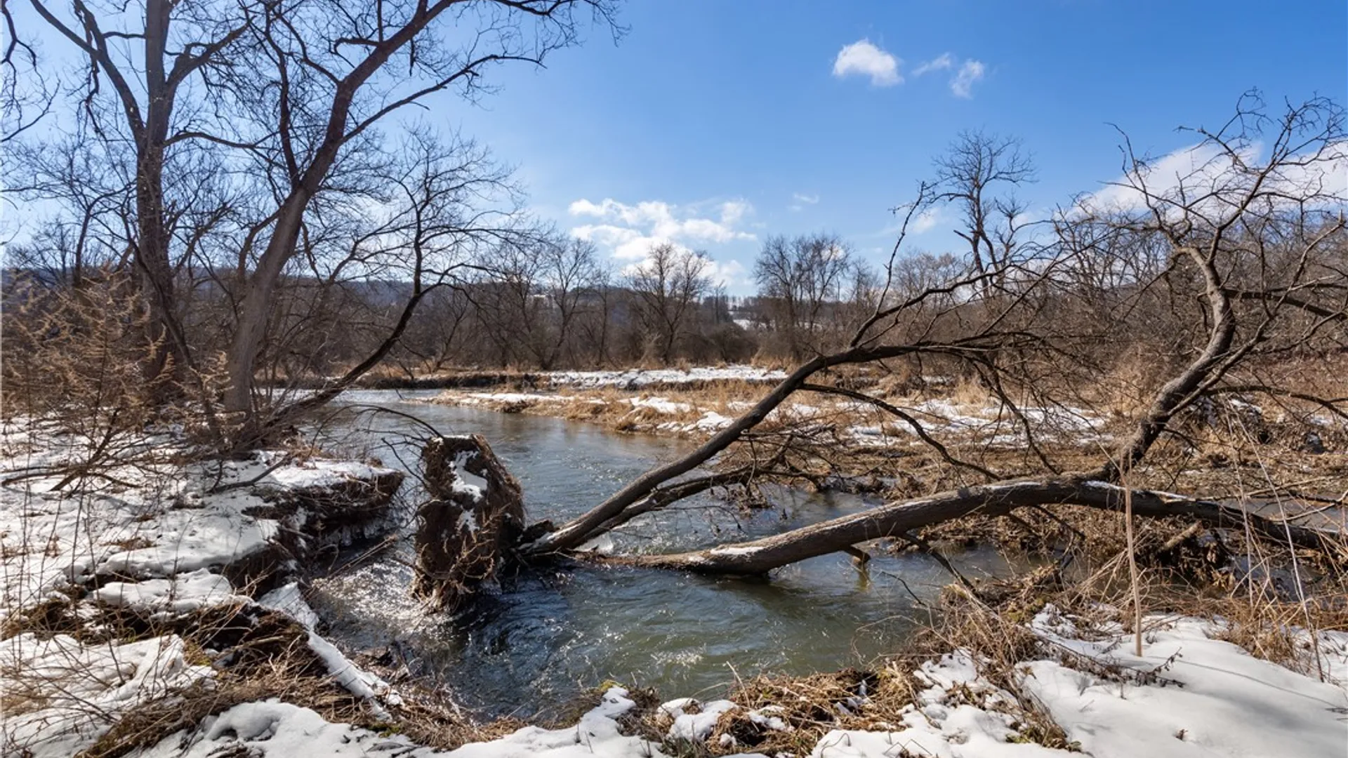 Property at 9080 75a, Avoca, NY 14809 5