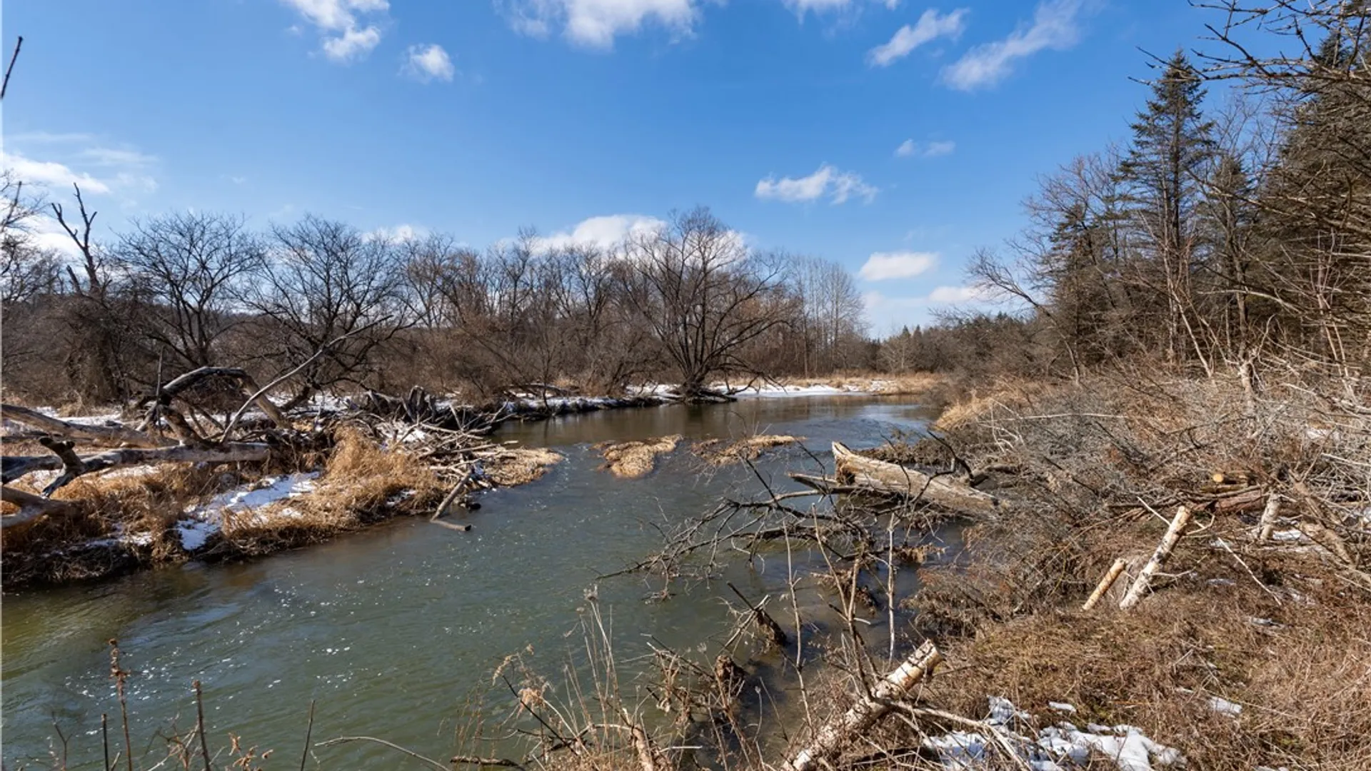 Property at 9080 75a, Avoca, NY 14809 8