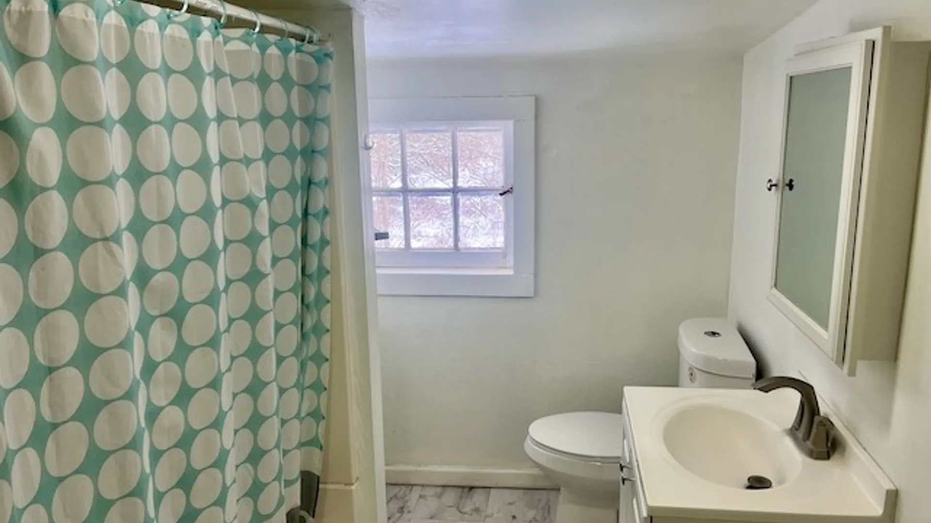Property at 133 Main Street, Spencer, NY 14883 26