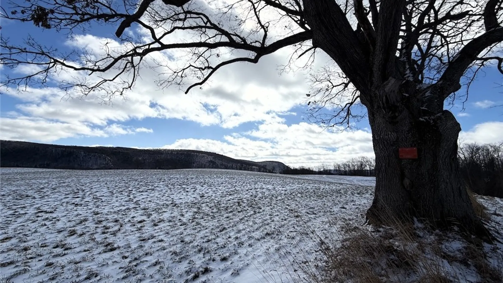 Property at 7013 Fish Hatchery Road, Urbana, NY 14810 42