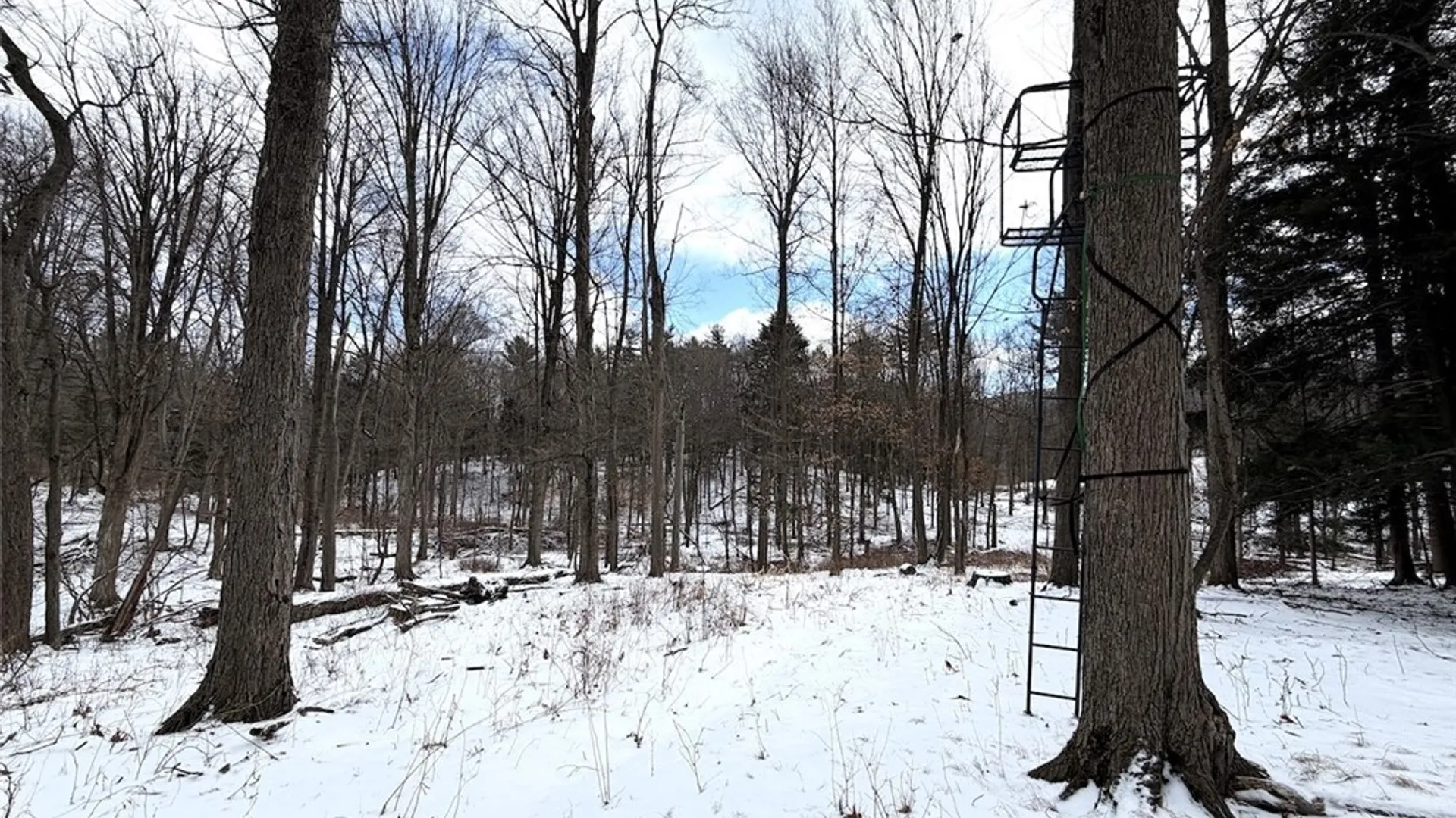 Property at 7013 Fish Hatchery Road, Urbana, NY 14810 44