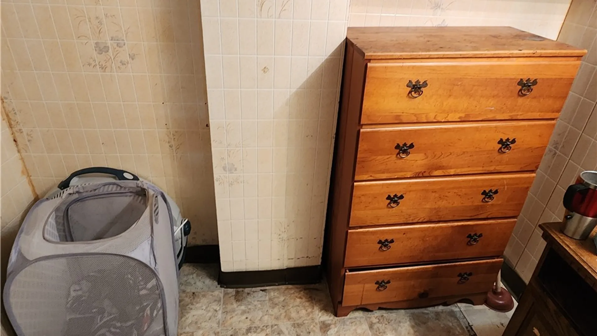 Property at 43 Chapel Street, Mt Morris, NY 14510 25