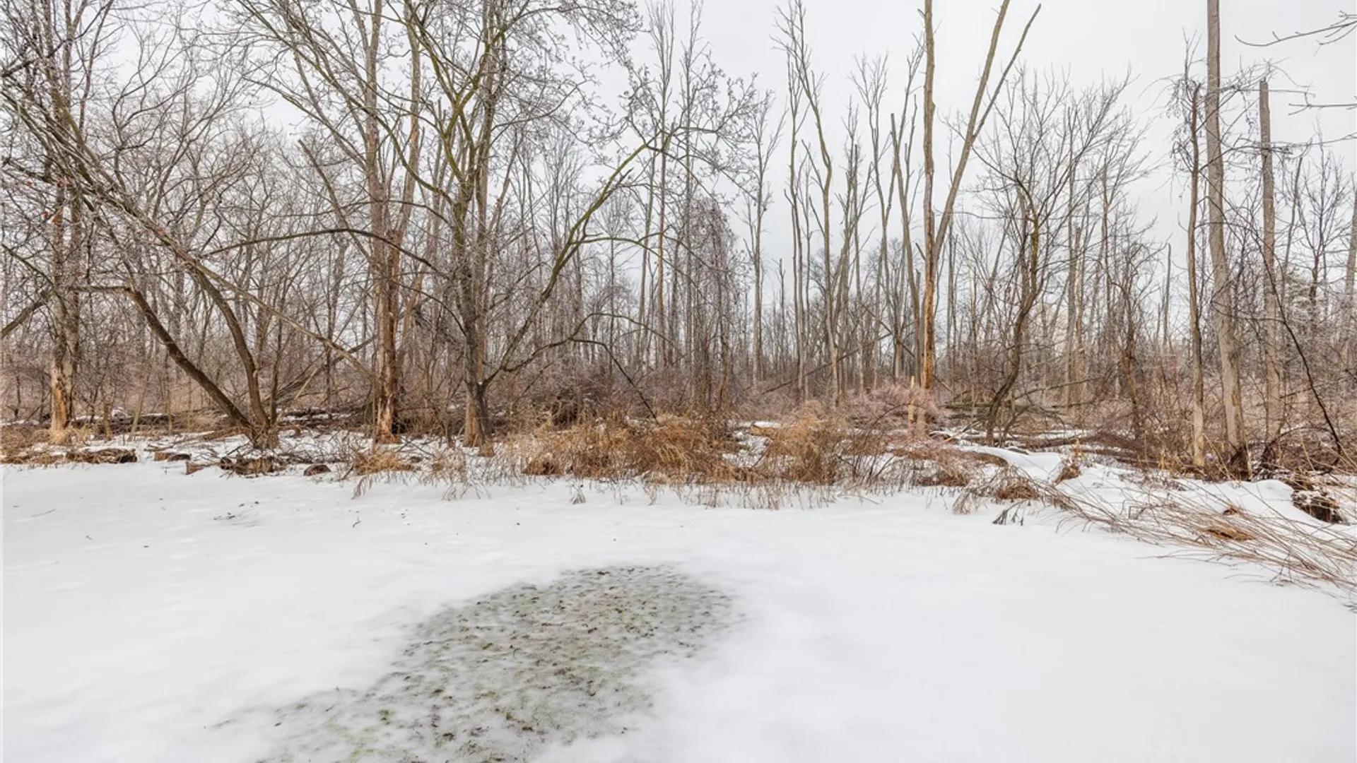 Property at 5380 Ridge Road, Parma, NY 14559 9