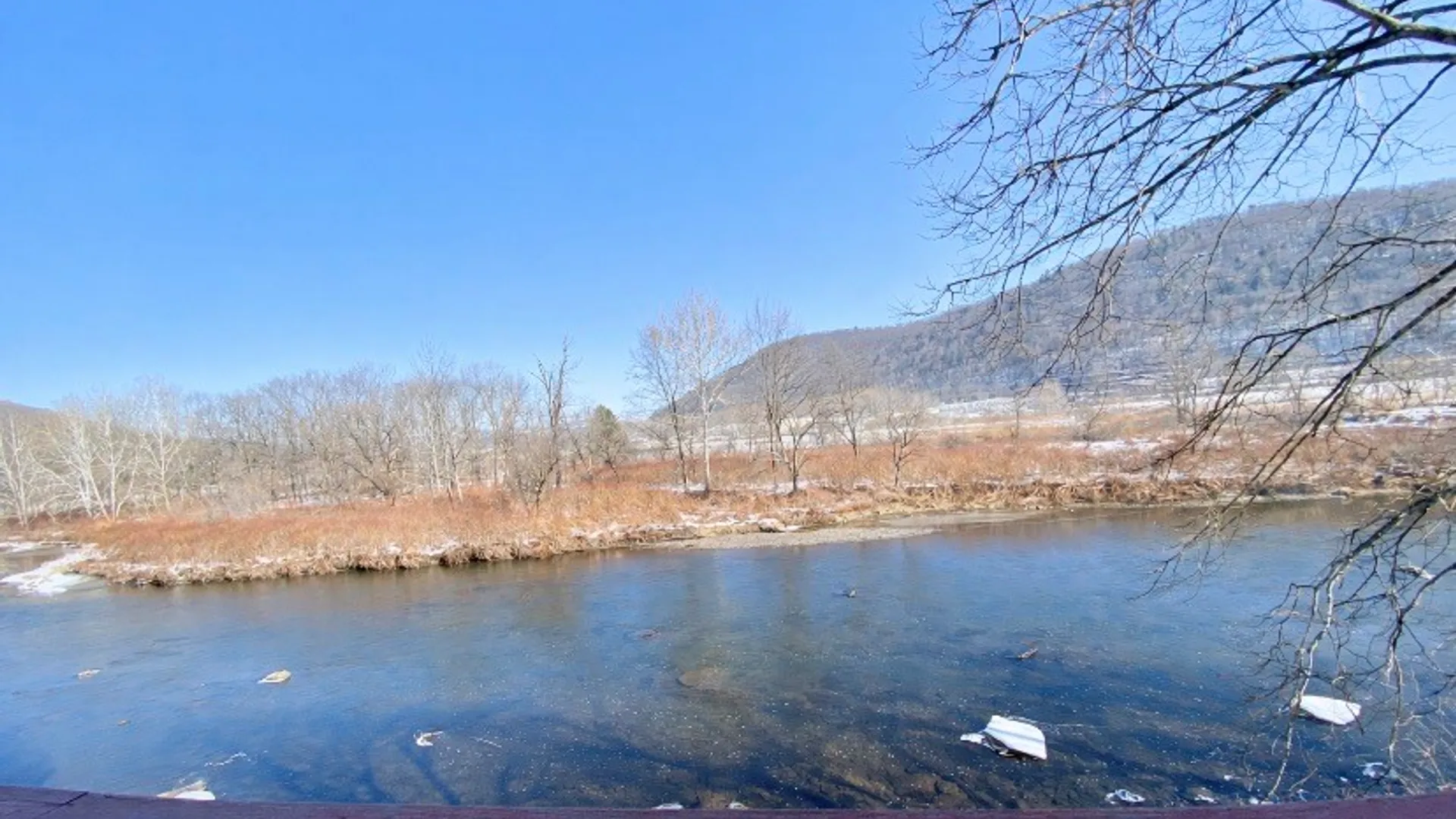 Property at 646 River Road, Deposit, NY 13754 15