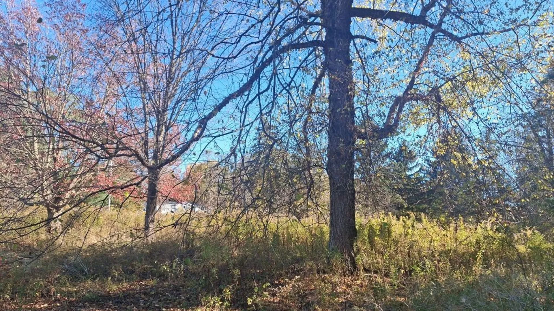 Property at 4403 Belleview Road, Ellery, NY 14712 19