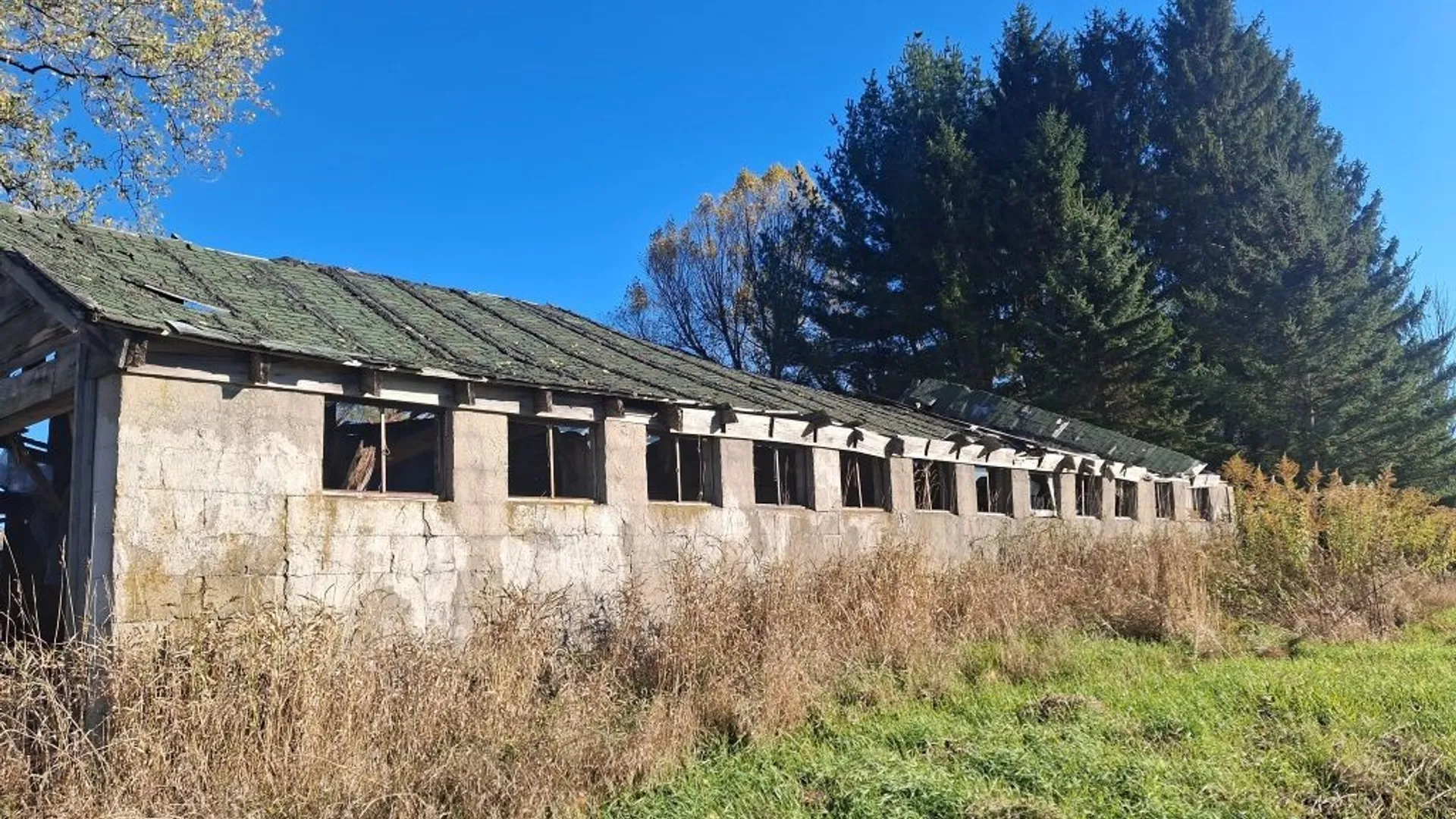 Property at 4403 Belleview Road, Ellery, NY 14712 22