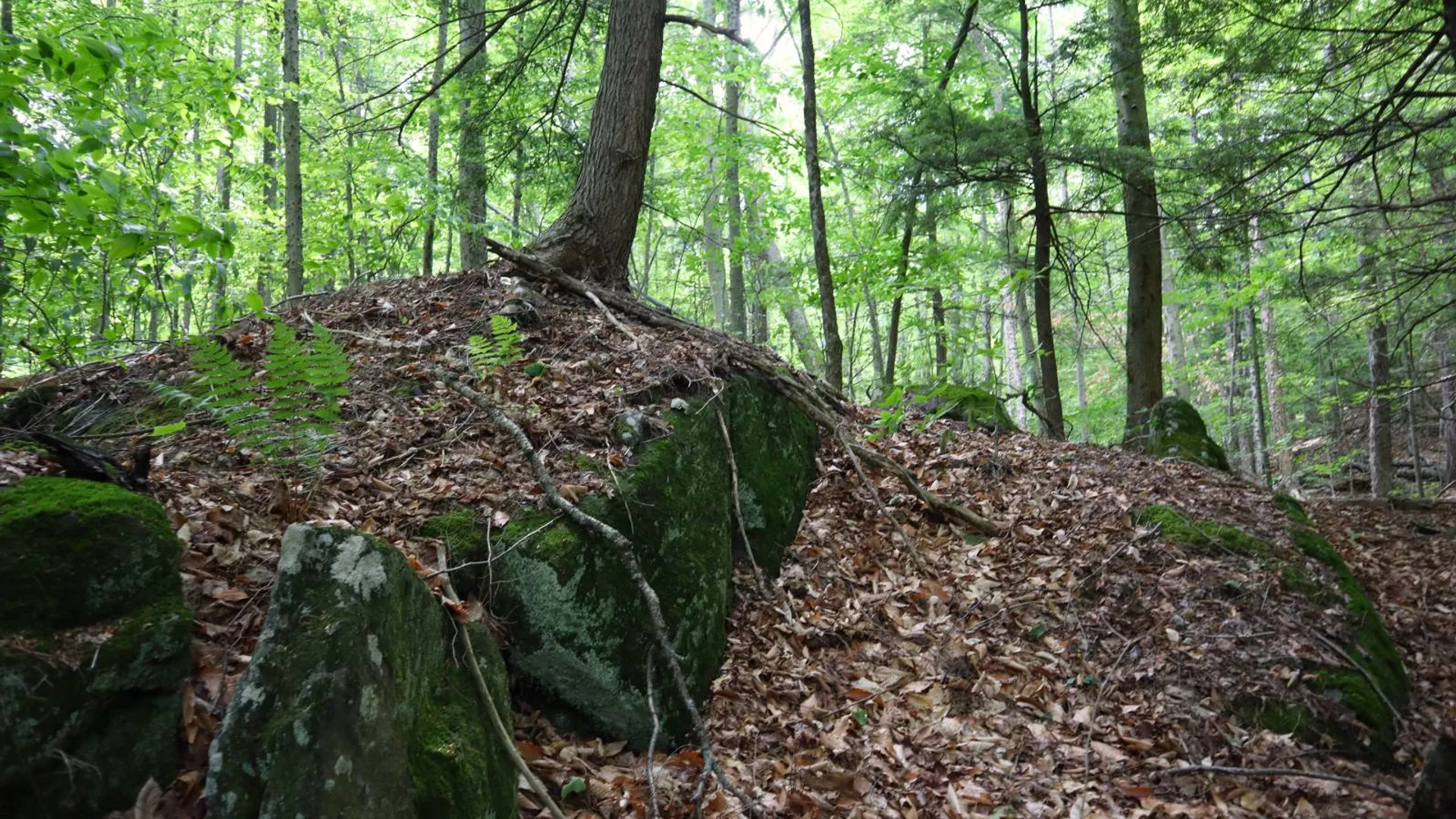 Property at 0 Valley Rd, Thurman, NY 12885 11