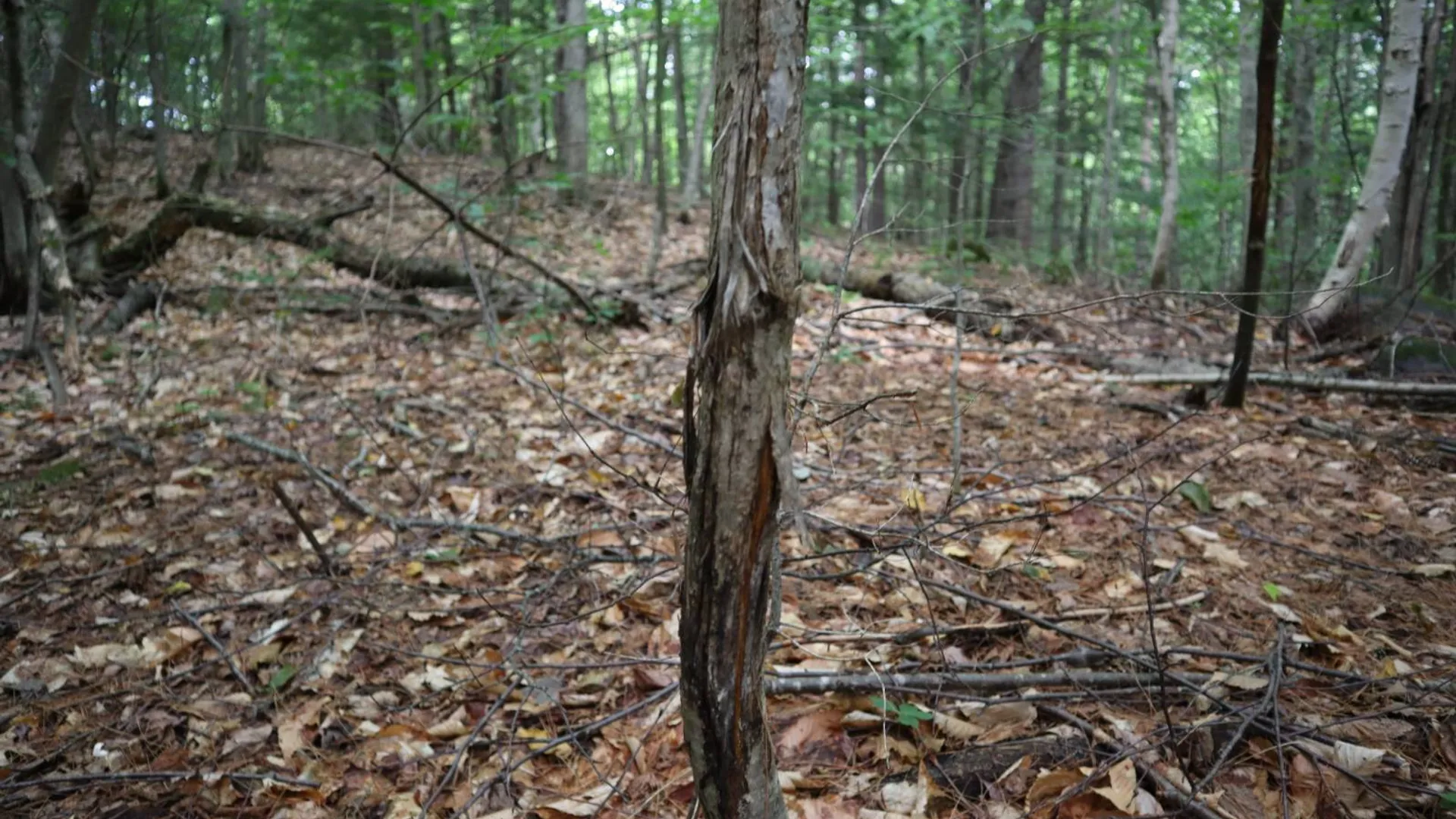 Property at 0 Valley Rd, Thurman, NY 12885 12