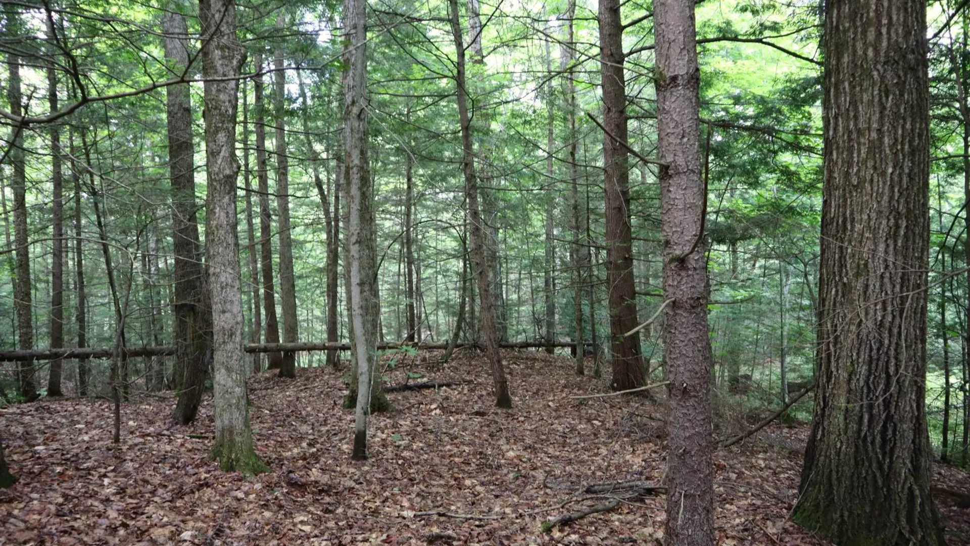 Property at 0 Valley Rd, Thurman, NY 12885 16