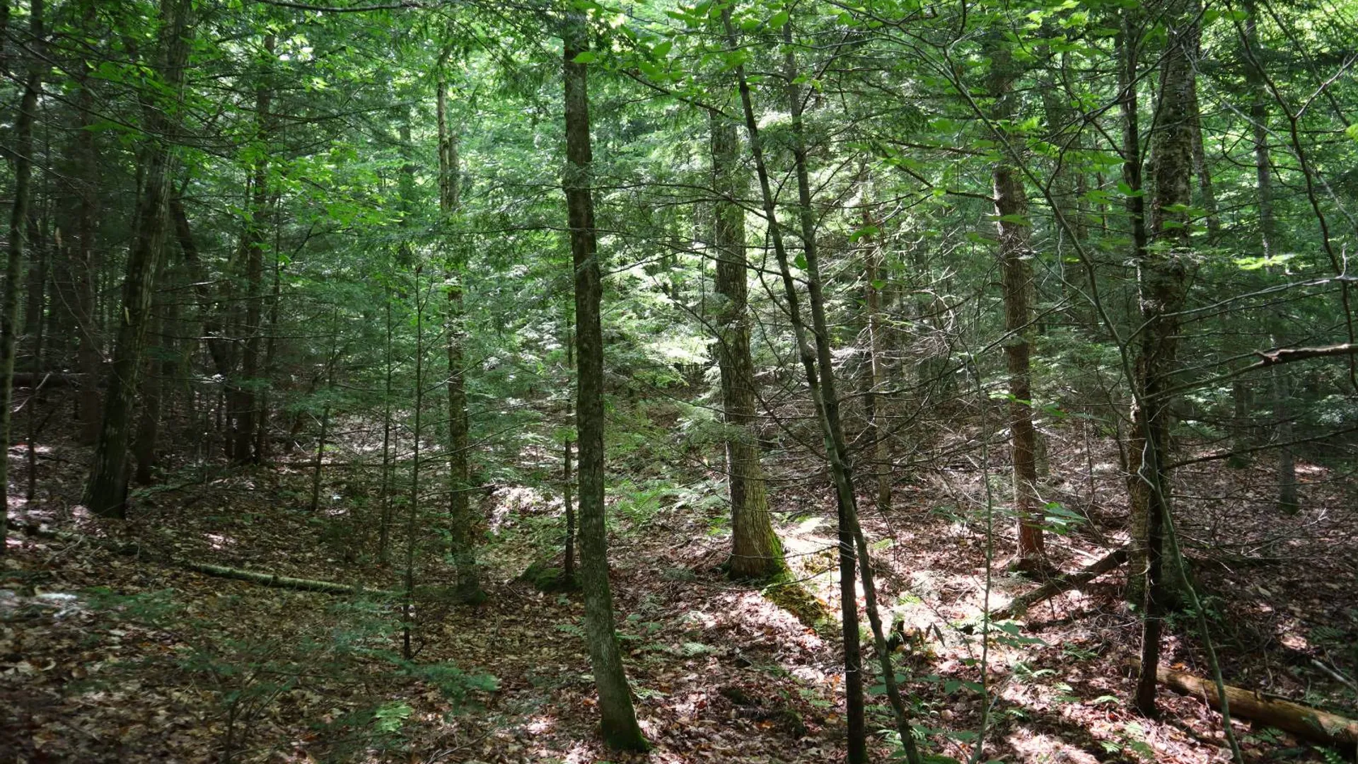 Property at 0 Valley Rd, Thurman, NY 12885 19