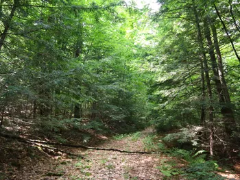 Property at 0 Valley Rd, Thurman, NY 12885