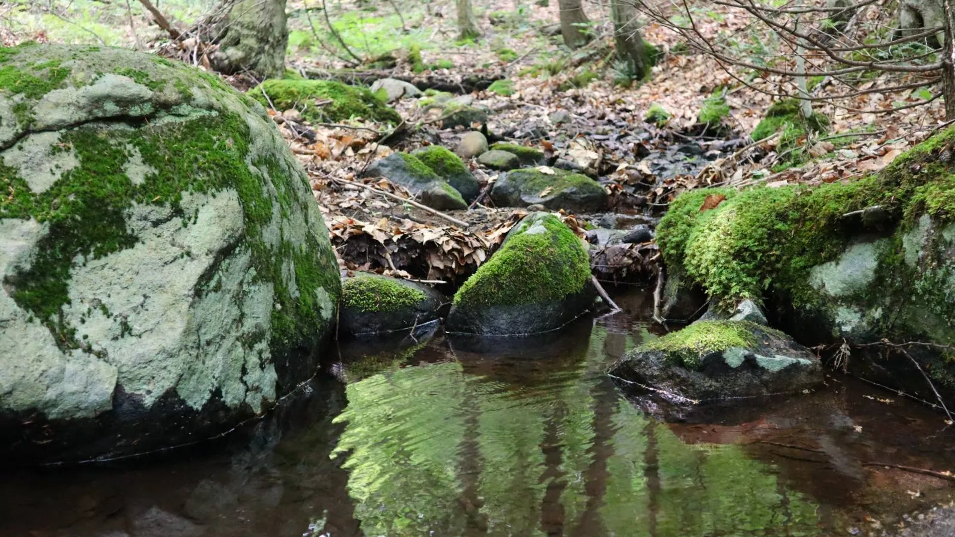 Property at 0 Valley Rd, Thurman, NY 12885 2