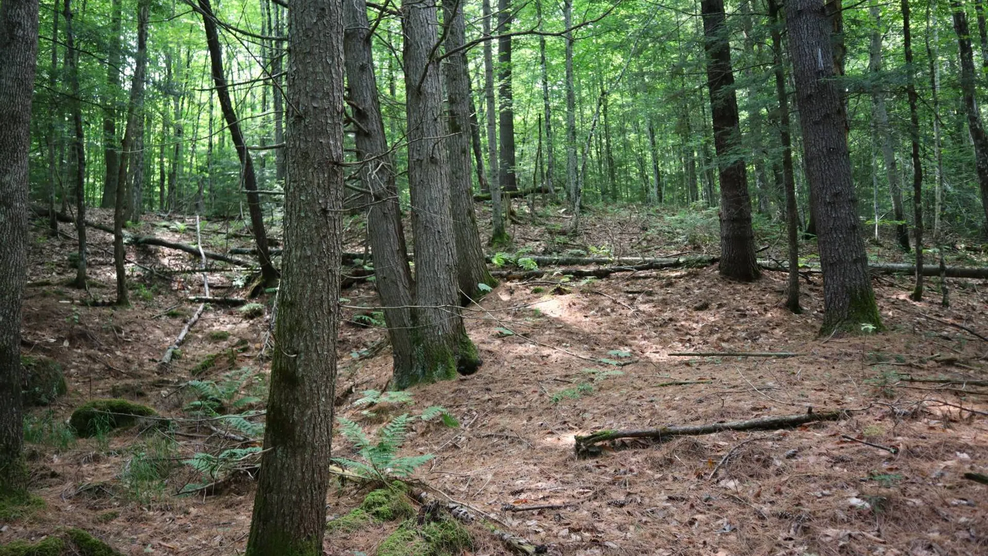 Property at 0 Valley Rd, Thurman, NY 12885 21