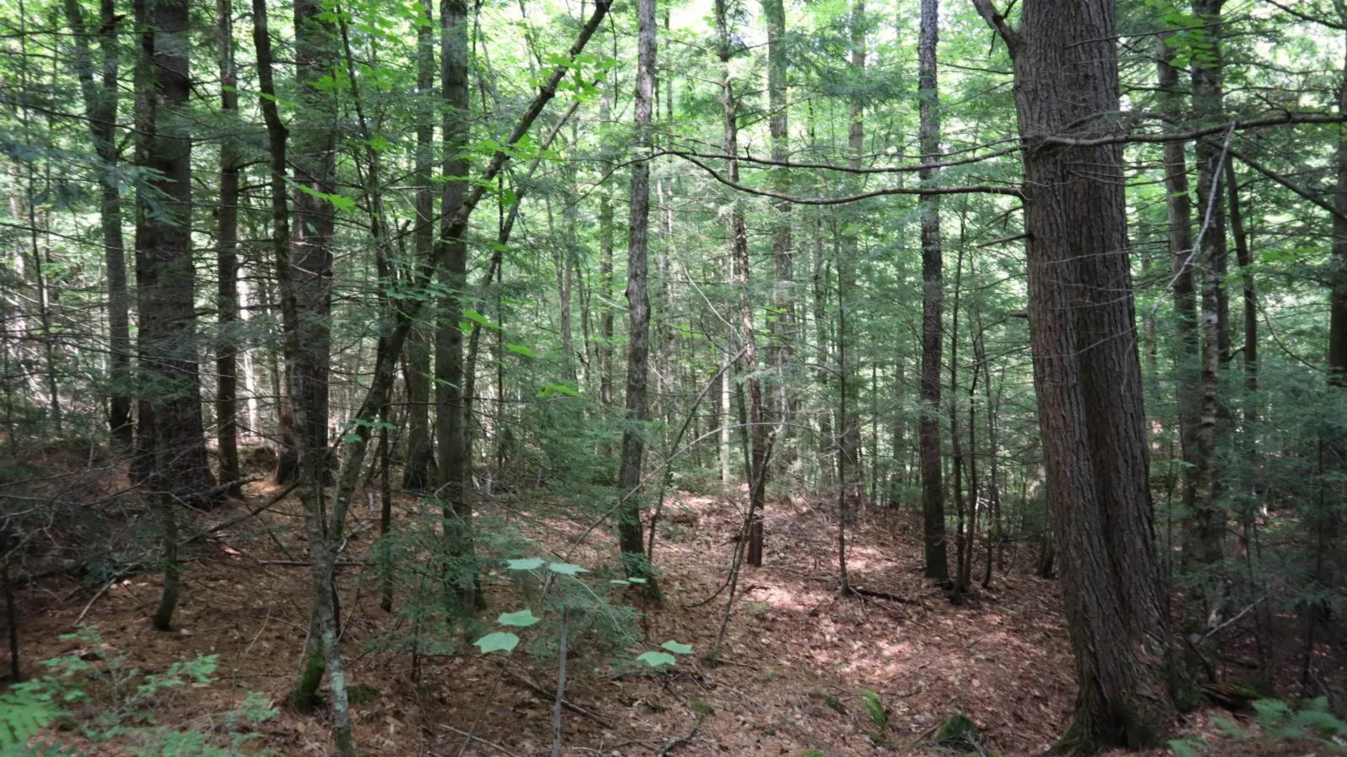 Property at 0 Valley Rd, Thurman, NY 12885 23