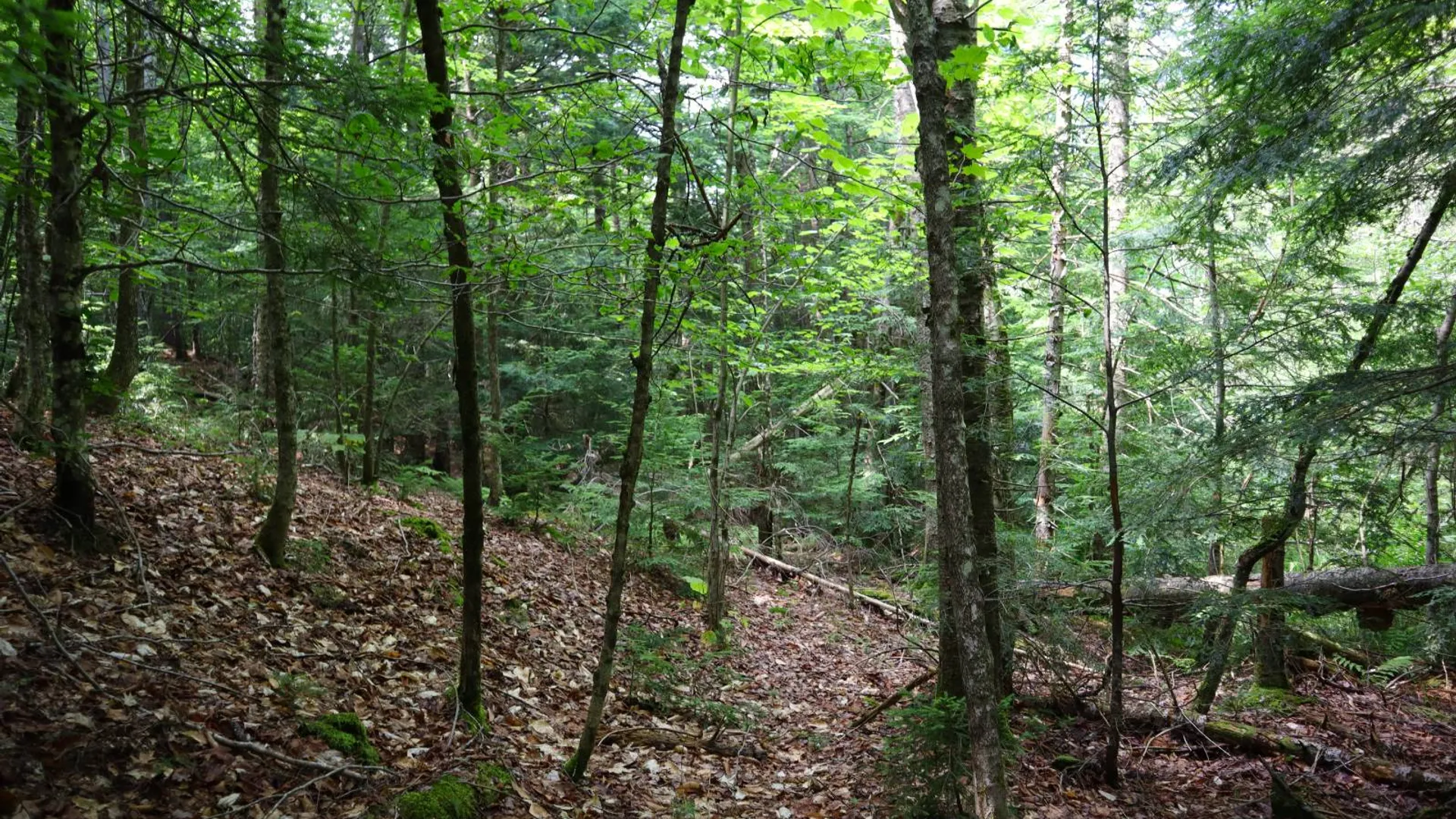 Property at 0 Valley Rd, Thurman, NY 12885 28