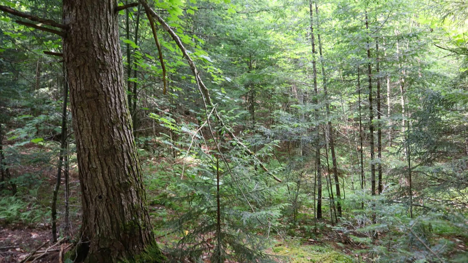 Property at 0 Valley Rd, Thurman, NY 12885 29