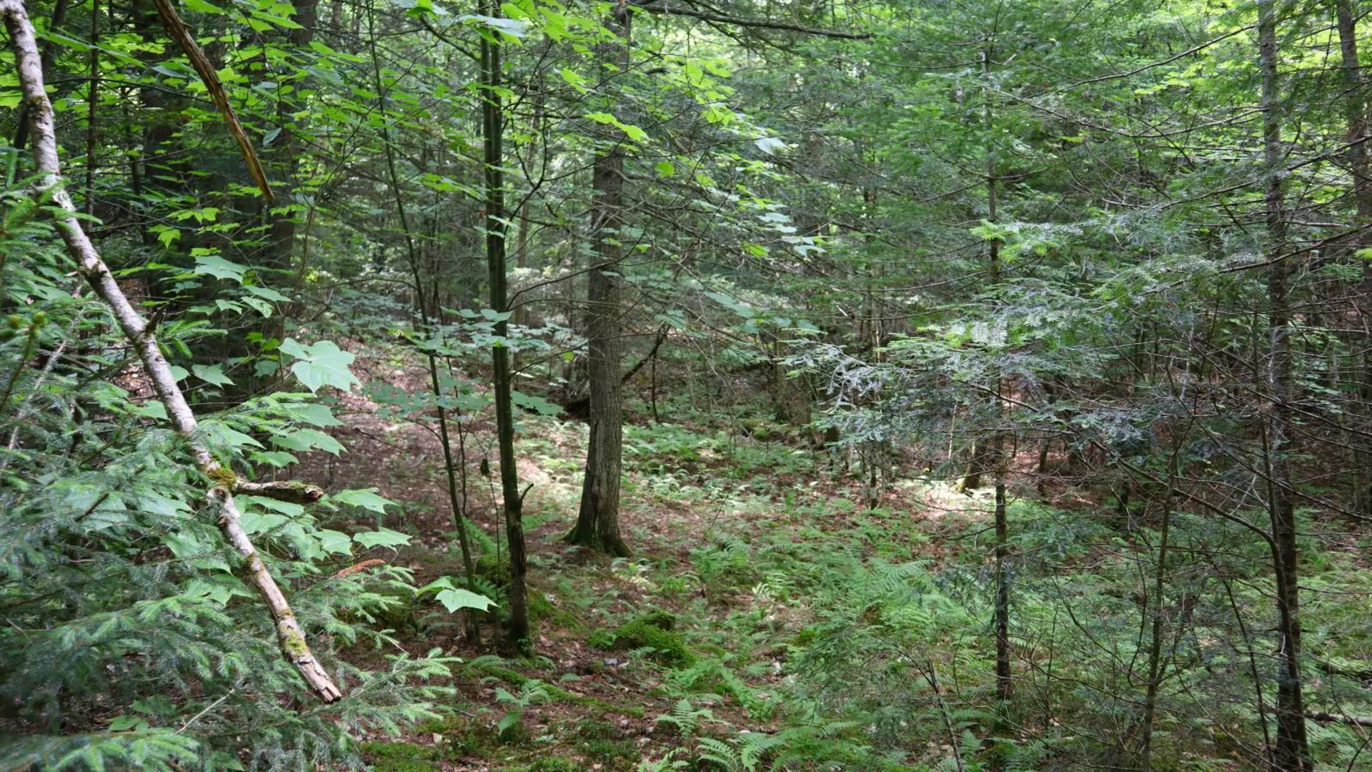 Property at 0 Valley Rd, Thurman, NY 12885 30