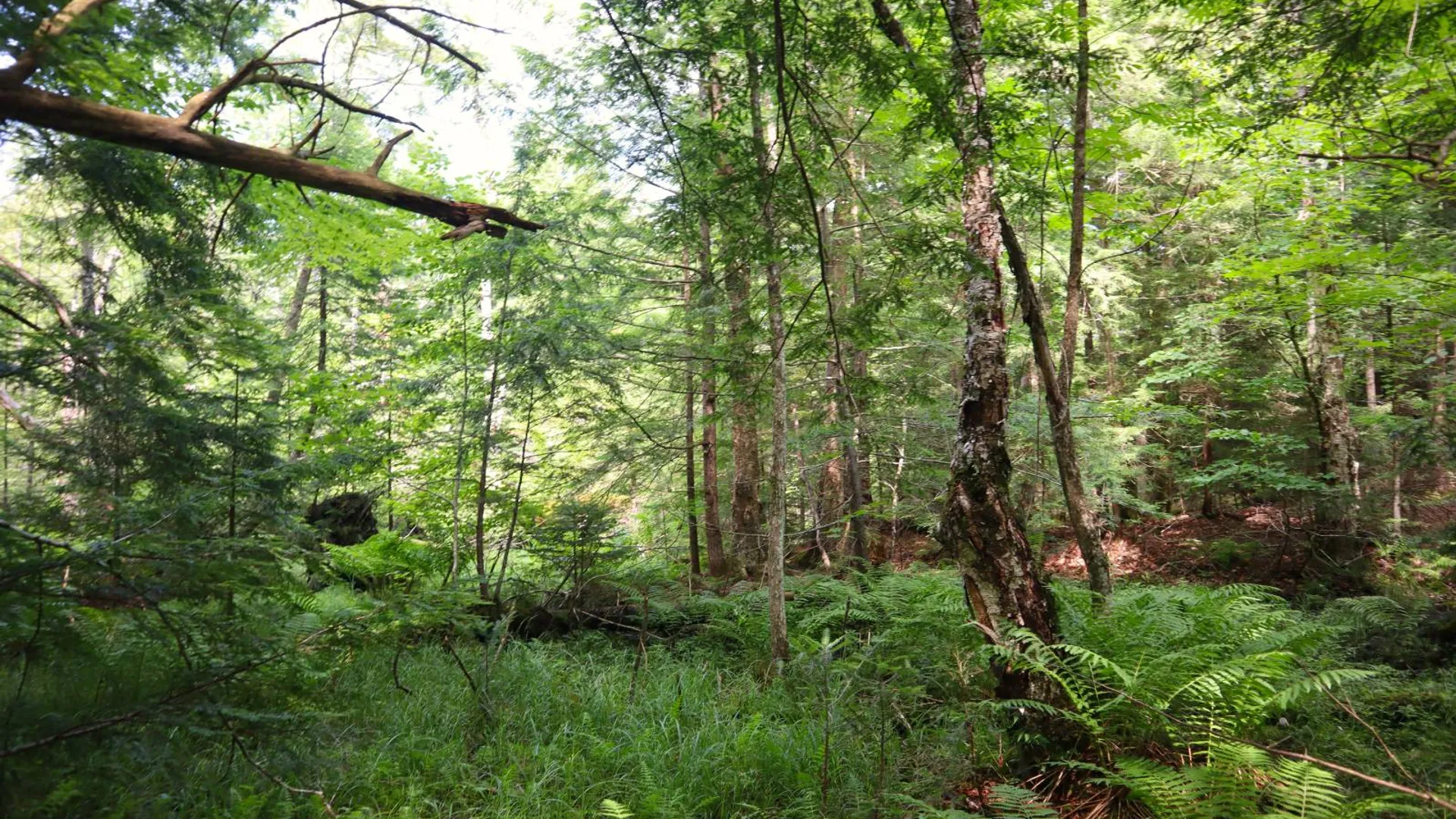 Property at 0 Valley Rd, Thurman, NY 12885 31