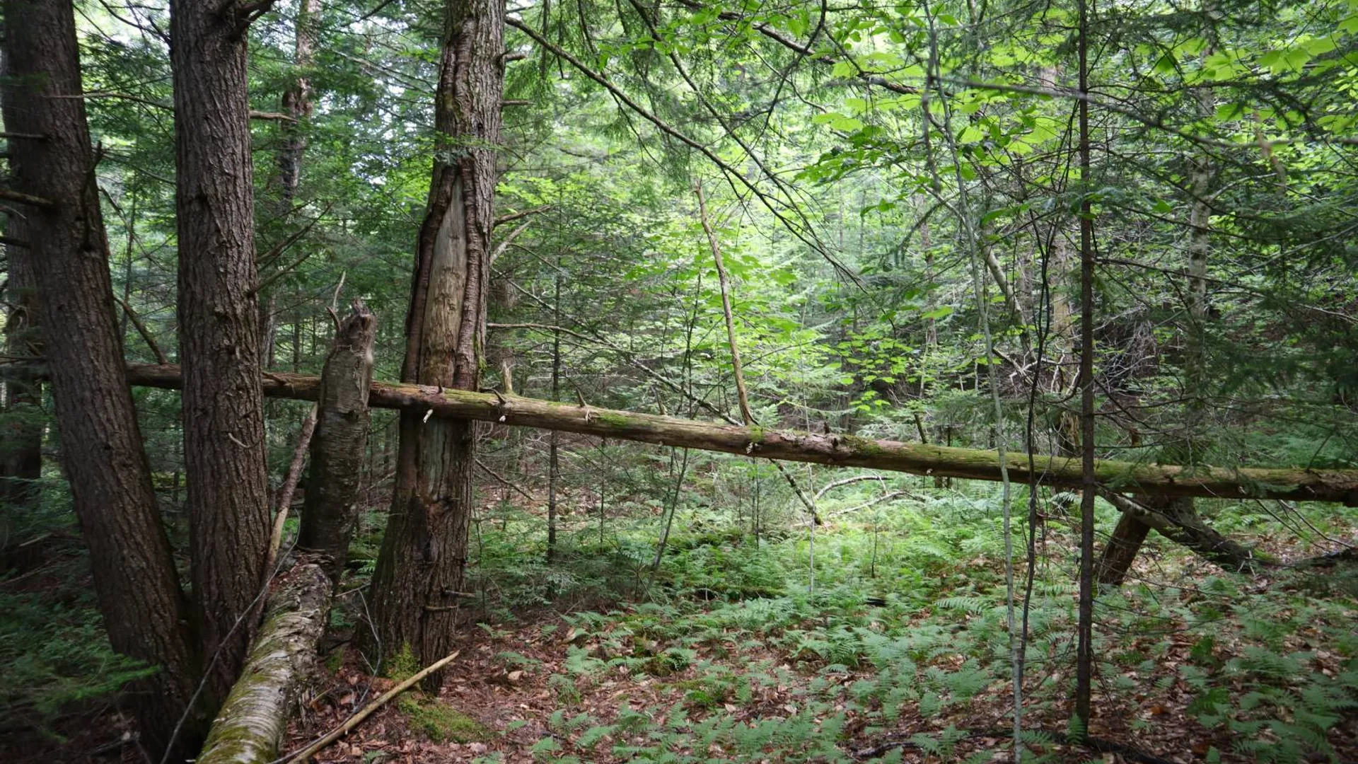 Property at 0 Valley Rd, Thurman, NY 12885 33