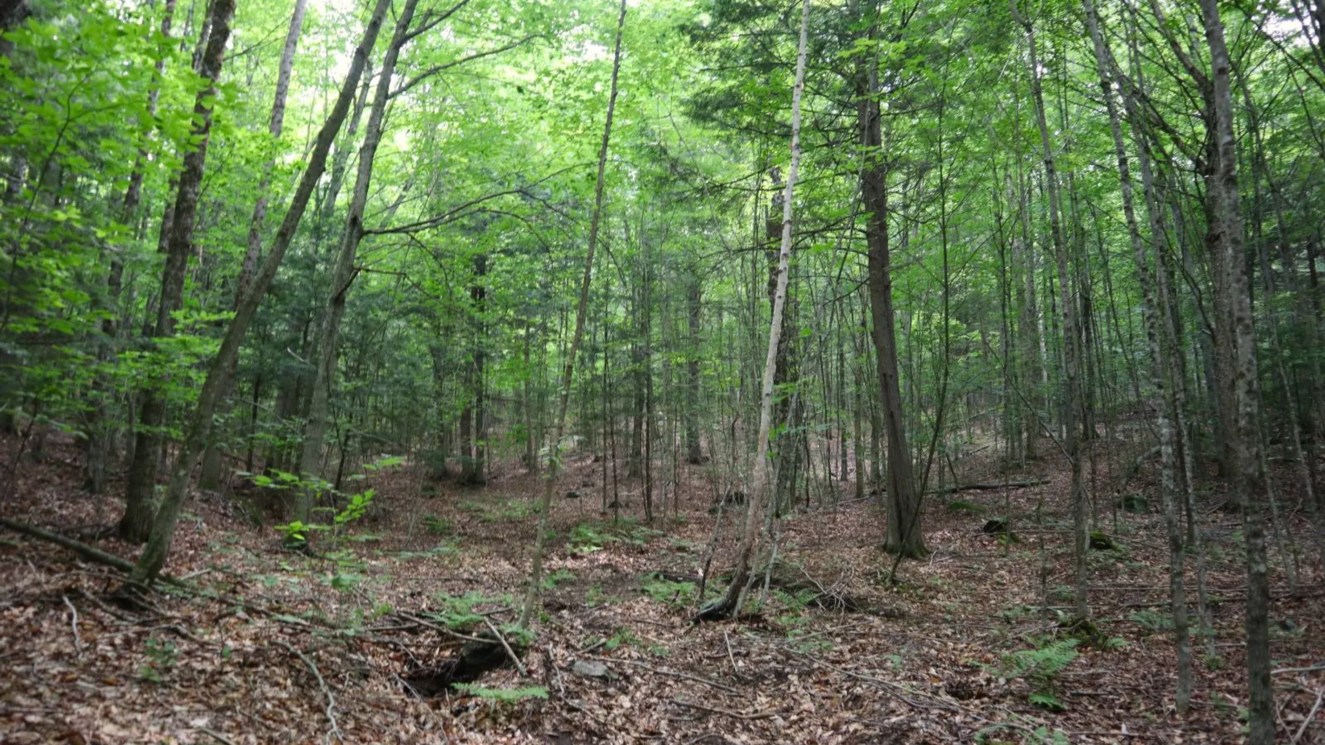 Property at 0 Valley Rd, Thurman, NY 12885 4