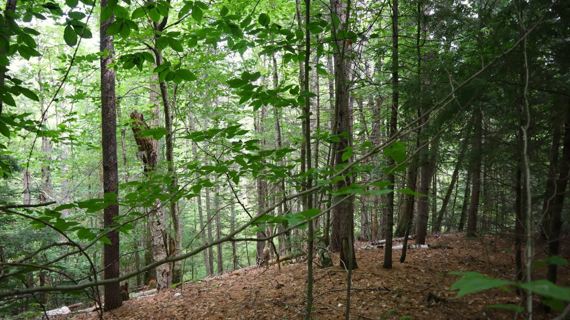 Property at 0 Valley Rd, Thurman, NY 12885 40