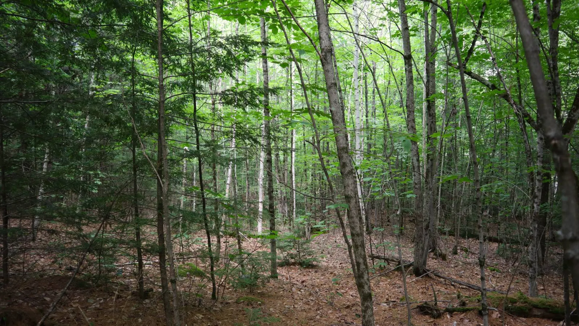 Property at 0 Valley Rd, Thurman, NY 12885 42