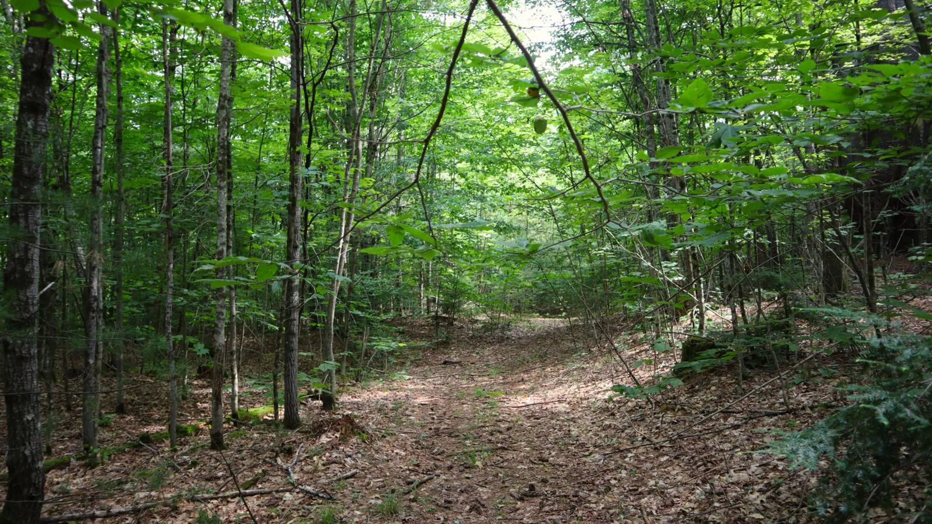 Property at 0 Valley Rd, Thurman, NY 12885 43