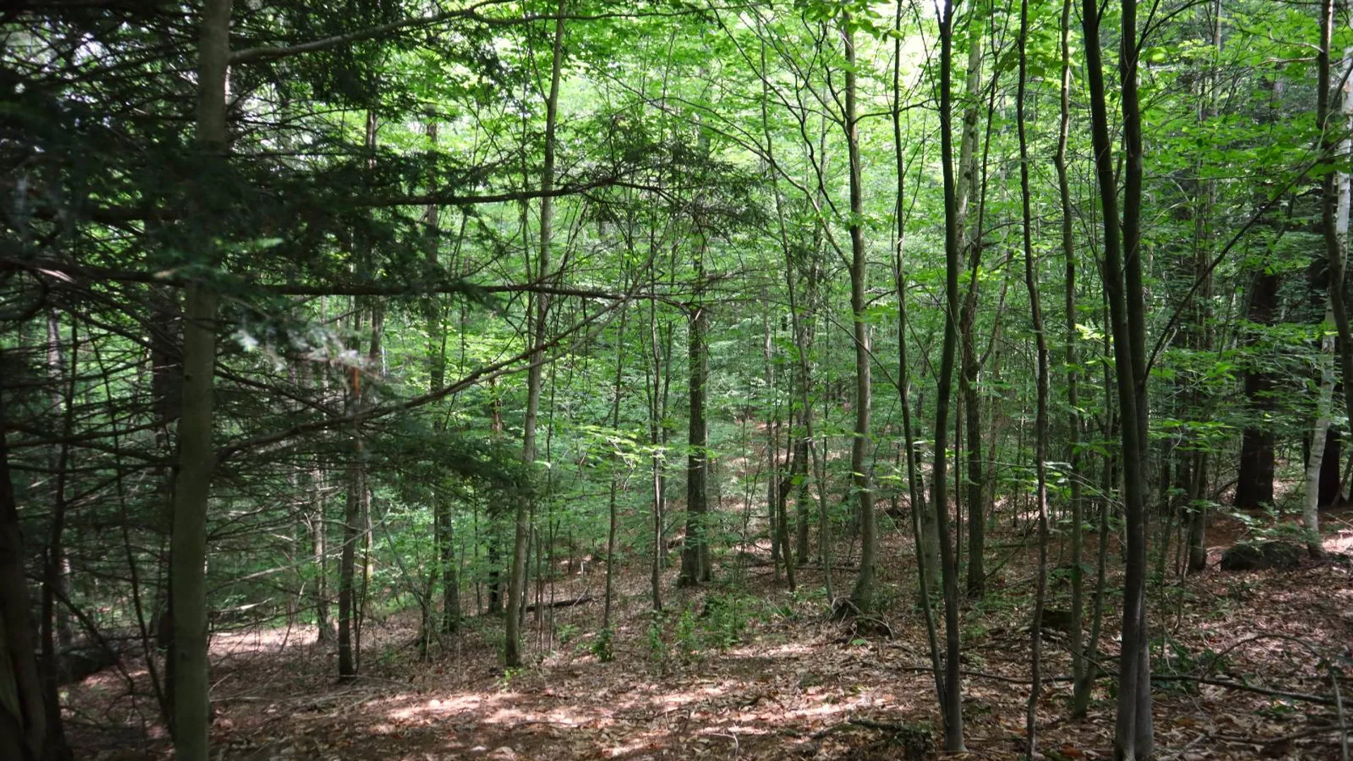 Property at 0 Valley Rd, Thurman, NY 12885 46