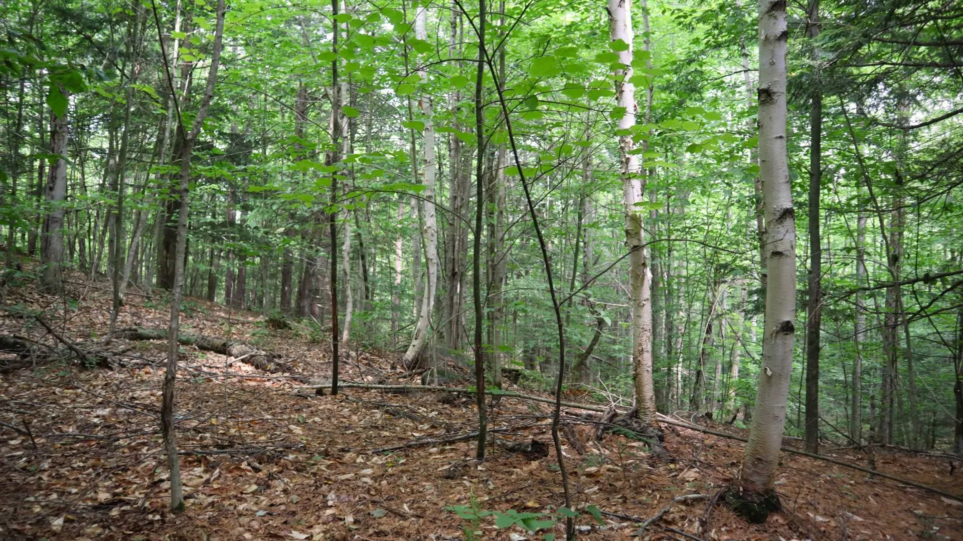 Property at 0 Valley Rd, Thurman, NY 12885 48