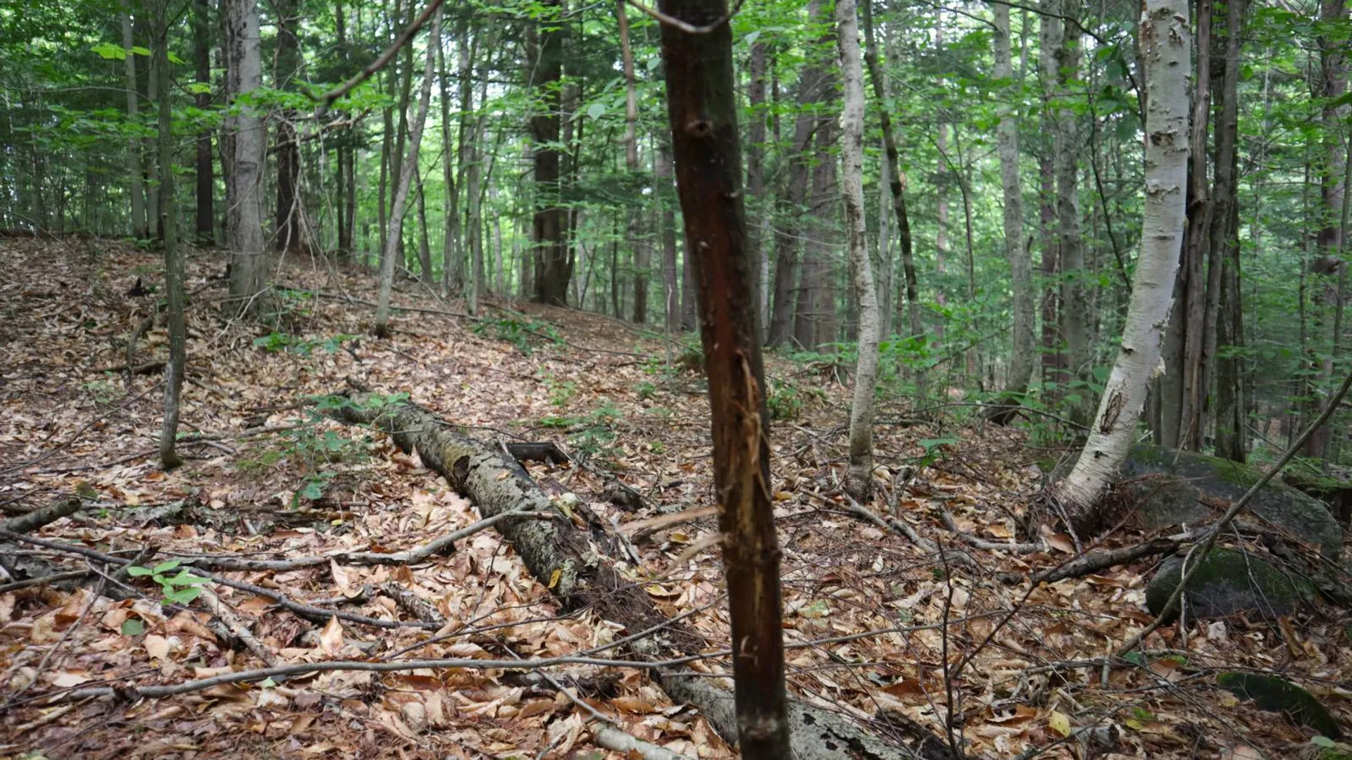 Property at 0 Valley Rd, Thurman, NY 12885 49