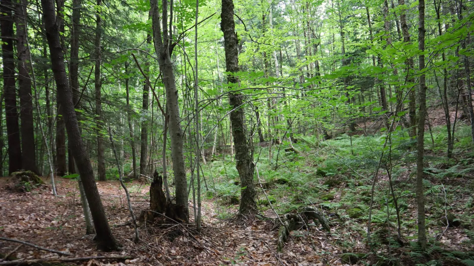 Property at 0 Valley Rd, Thurman, NY 12885 50