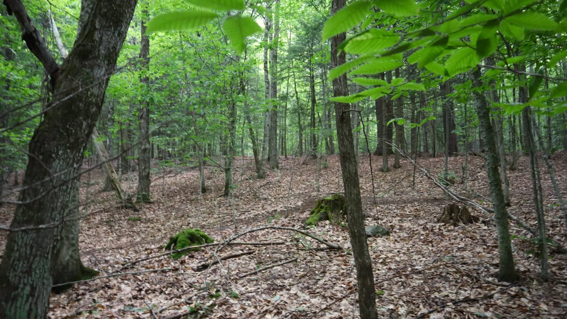 Property at 0 Valley Rd, Thurman, NY 12885 55