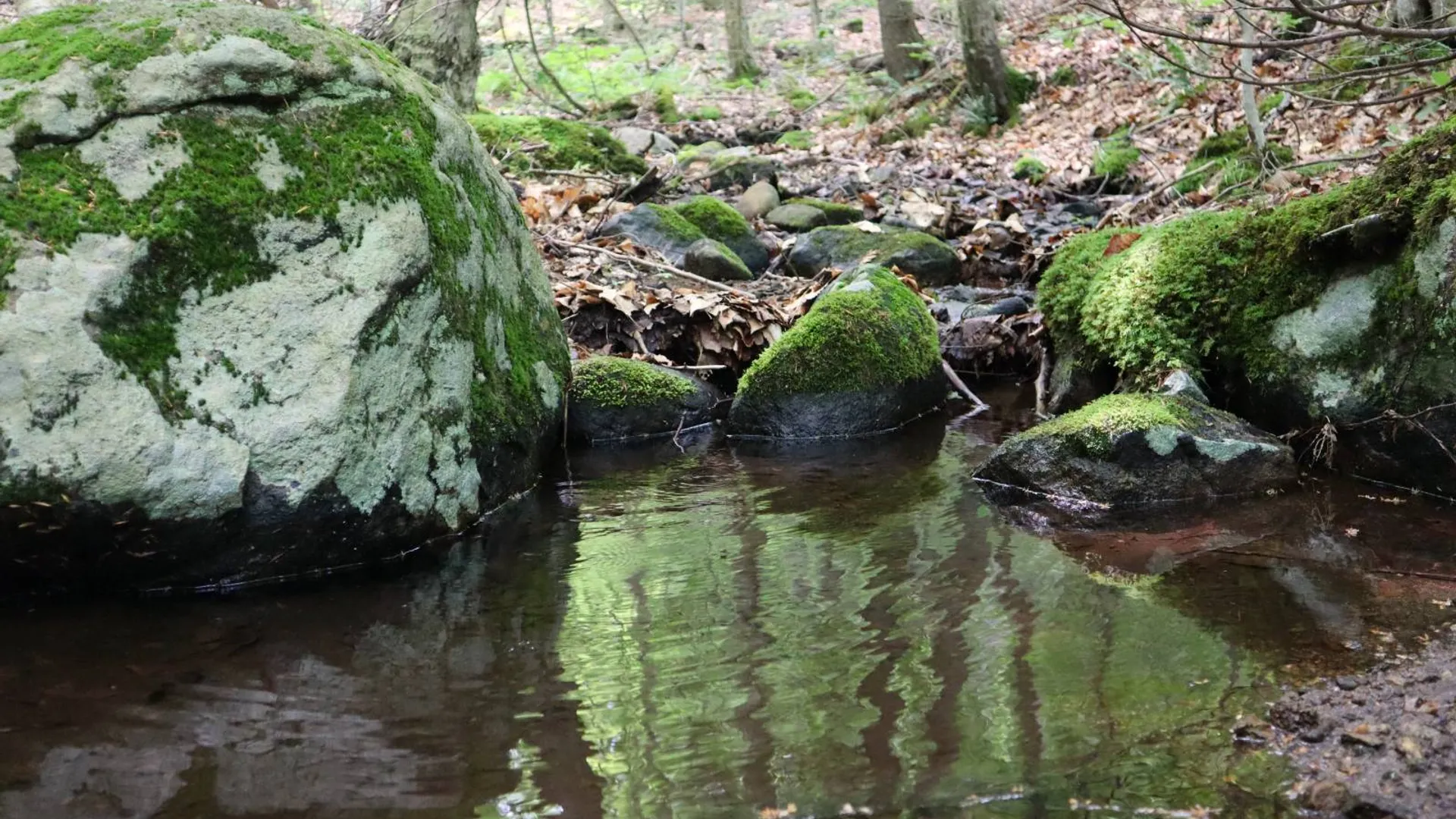 Property at 0 Valley Rd, Thurman, NY 12885 57