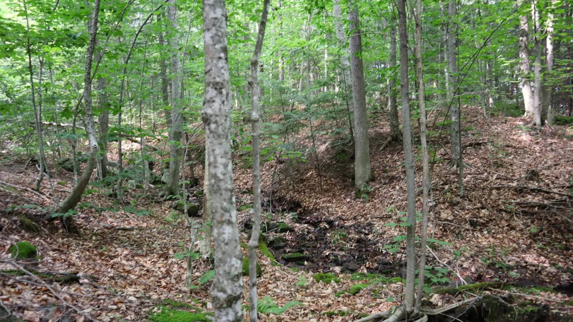 Property at 0 Valley Rd, Thurman, NY 12885 58