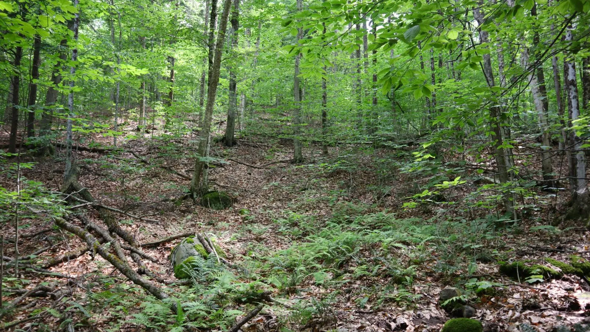 Property at 0 Valley Rd, Thurman, NY 12885 59