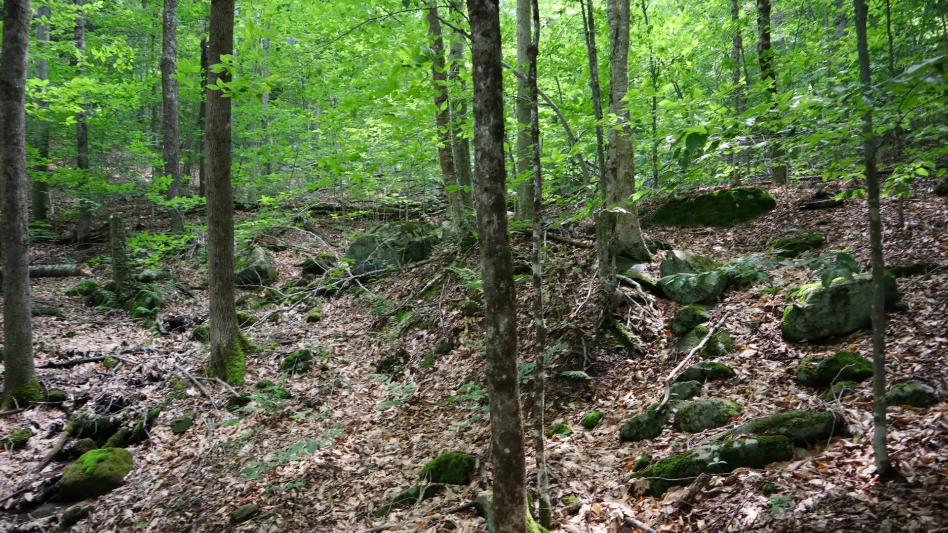 Property at 0 Valley Rd, Thurman, NY 12885 60