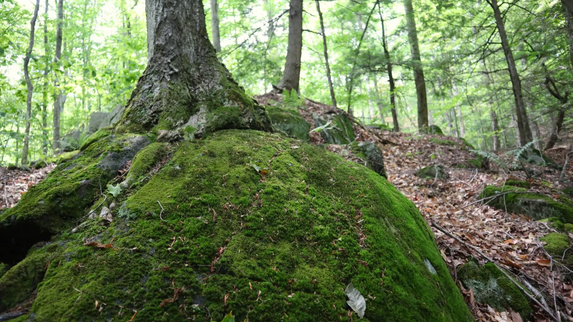 Property at 0 Valley Rd, Thurman, NY 12885 61